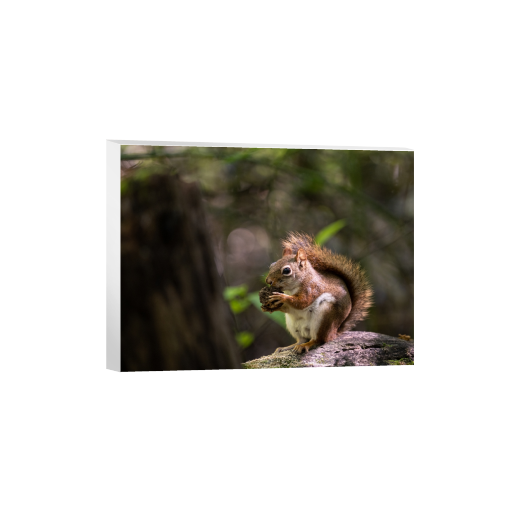 canvas_rectangle3_4_769_0_6037_4528_0_false_ffffff_0_0.png