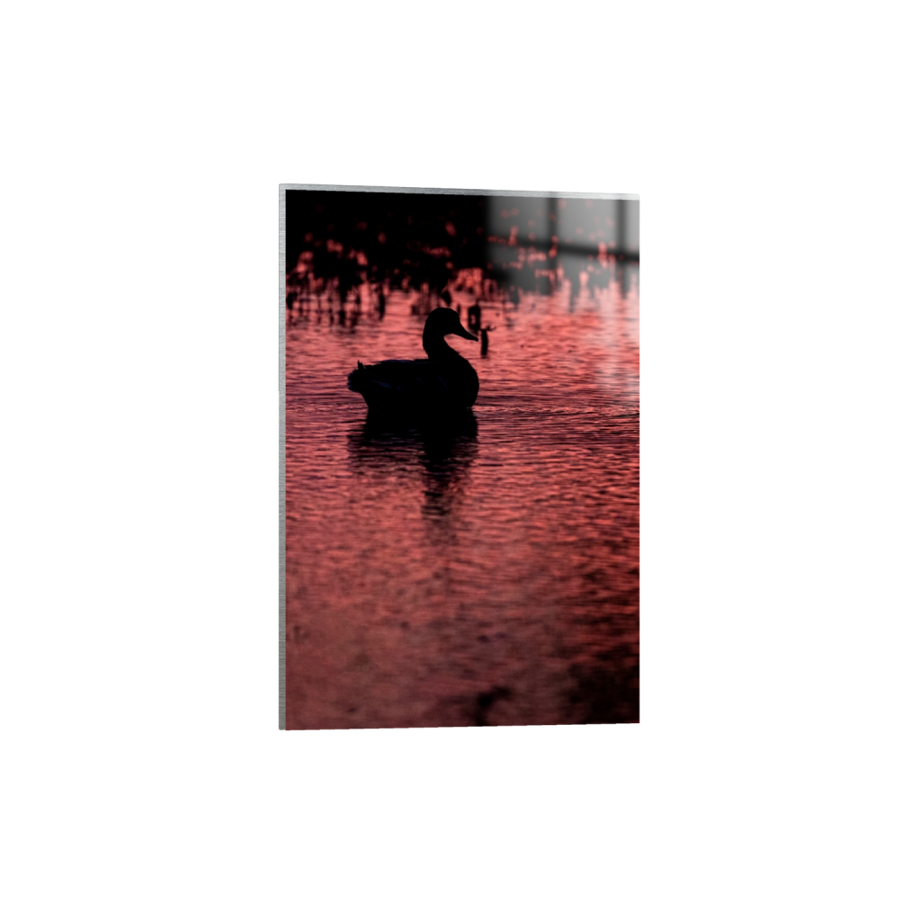 metalprint_rectangle2_3_111_0_2472_3709_0_false_ffffff_0_0.png