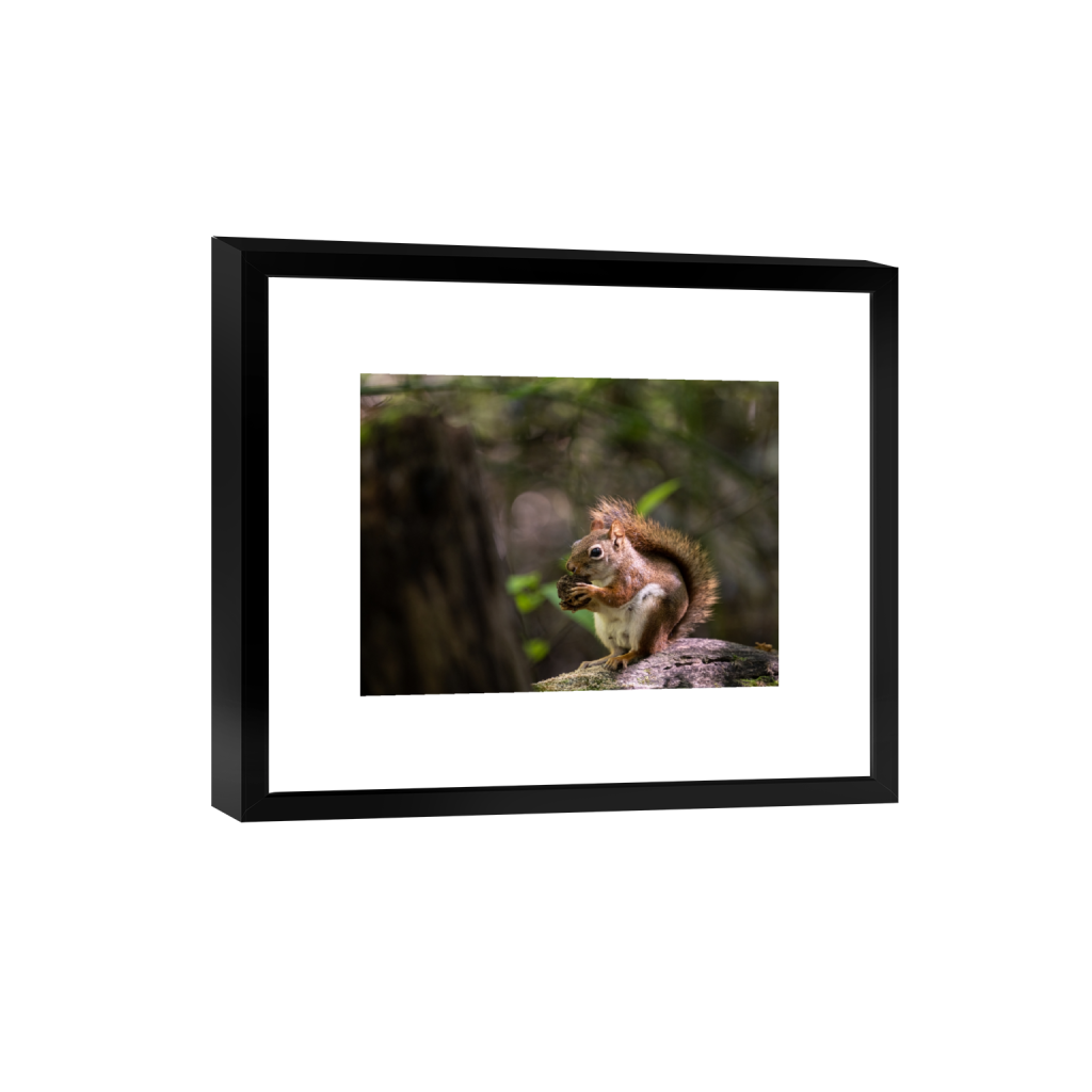 smartframe_rectangle3_4_769_0_6037_4528_0_false_ffffff_0_0.png