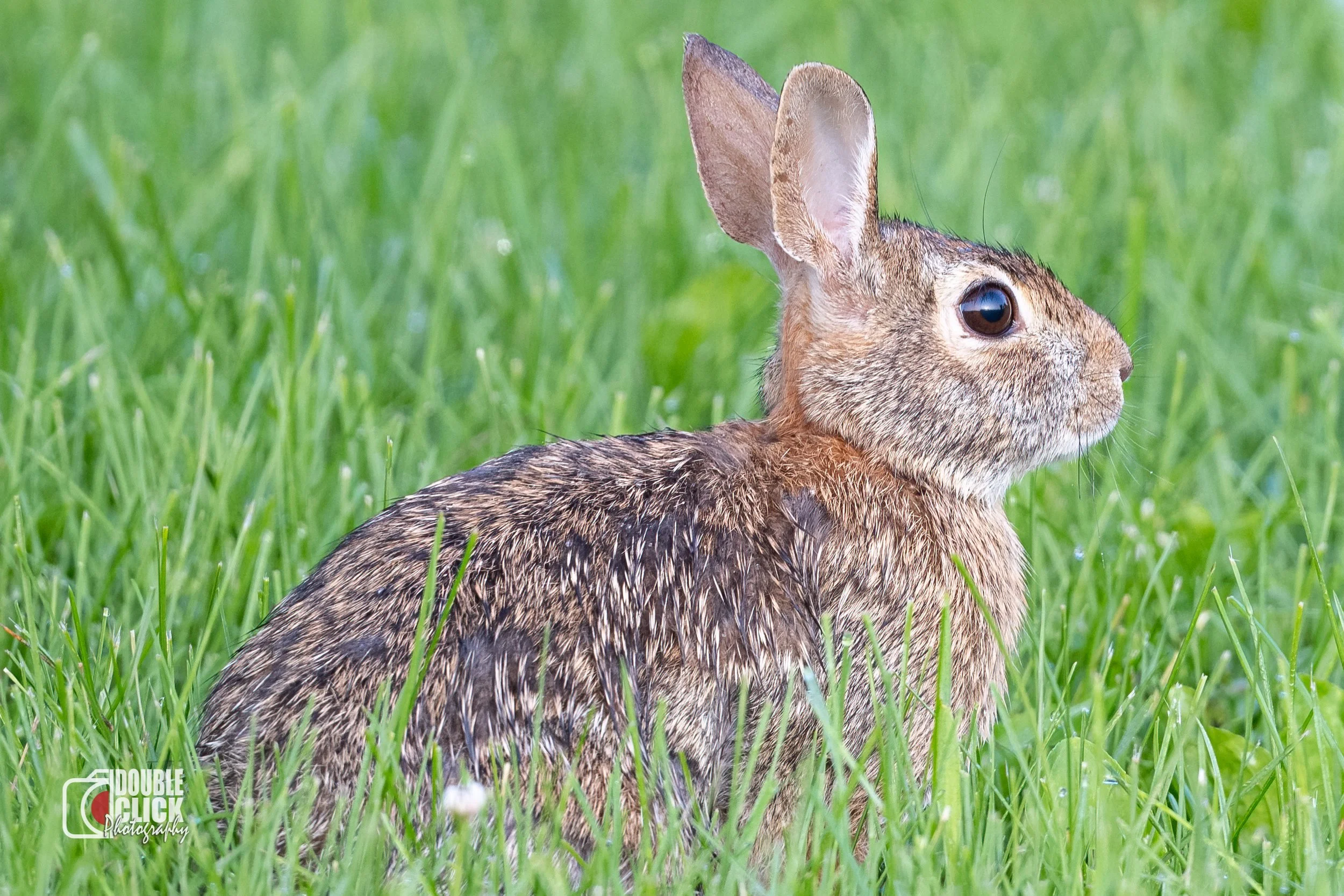 DSC_2069-Edit (2).jpg