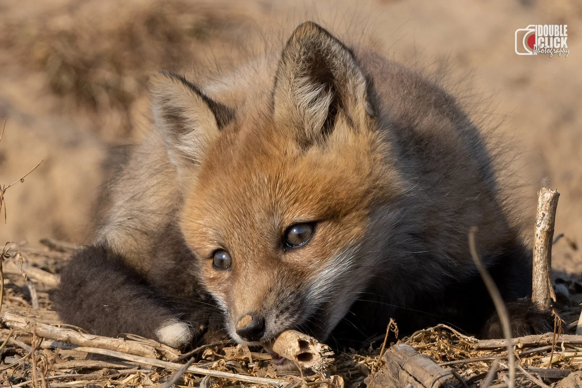 DSC_5391-Edit - Copy.jpg