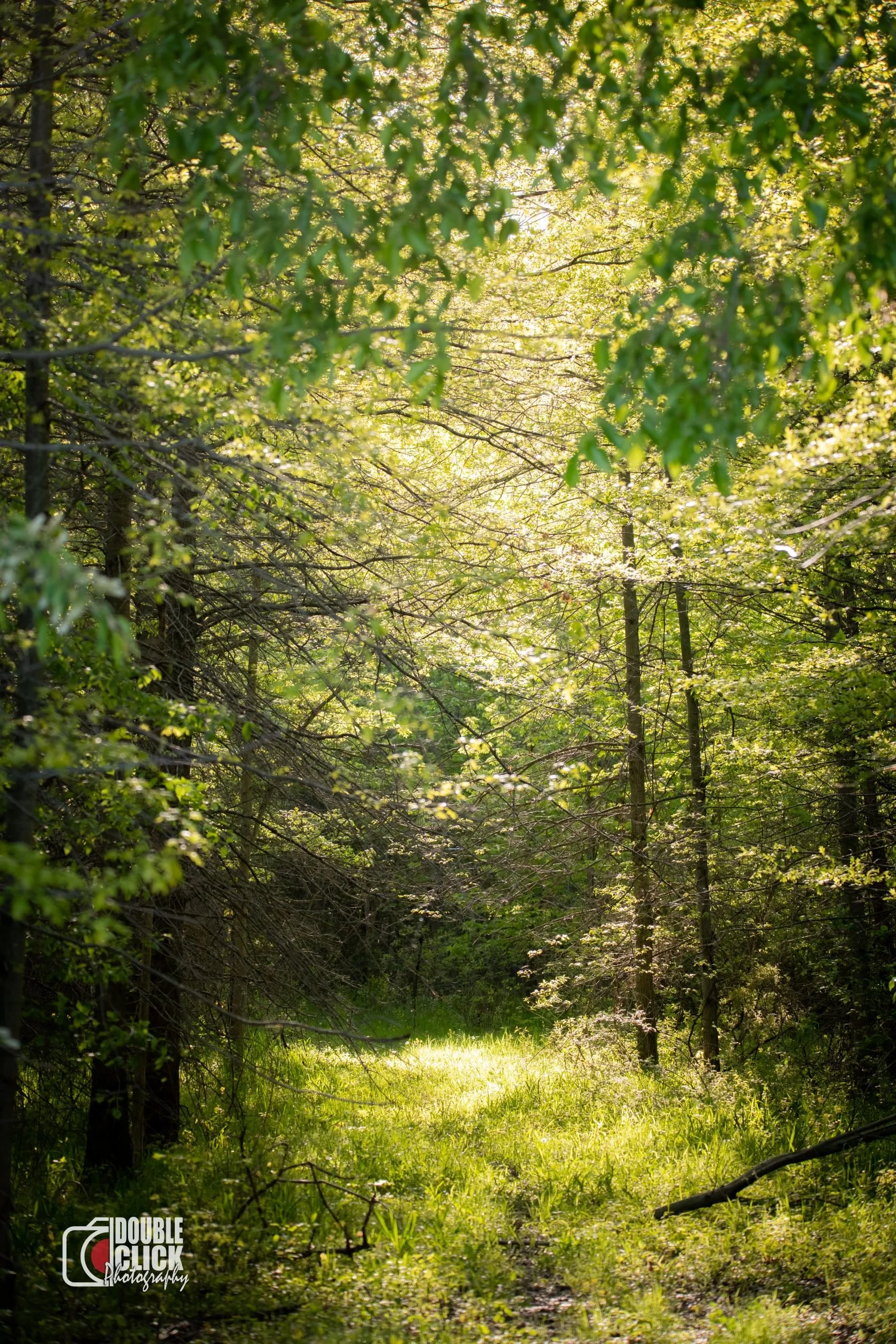 DSC_0624-Edit resize.jpg