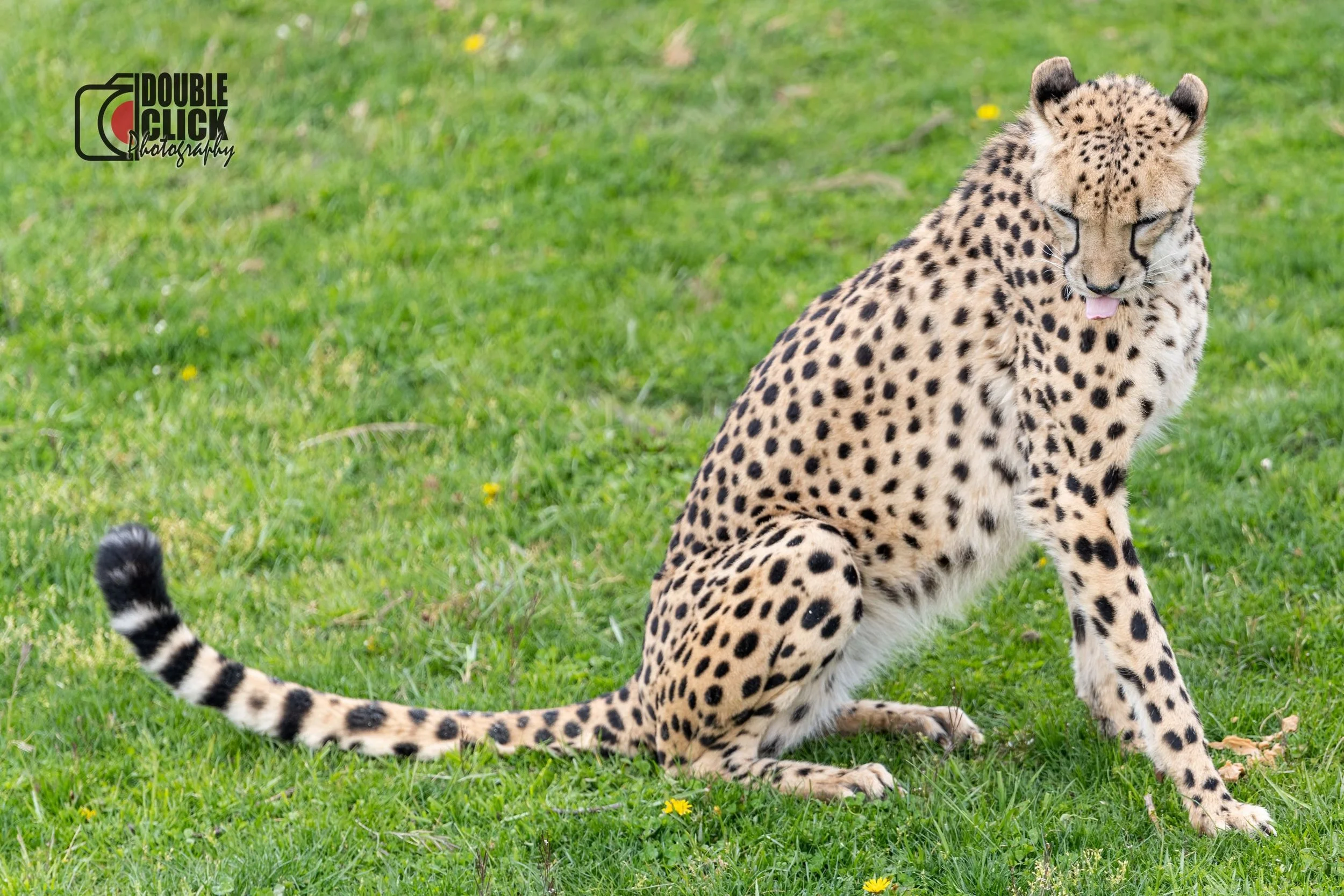 DSC_6199-Edit resize.jpg