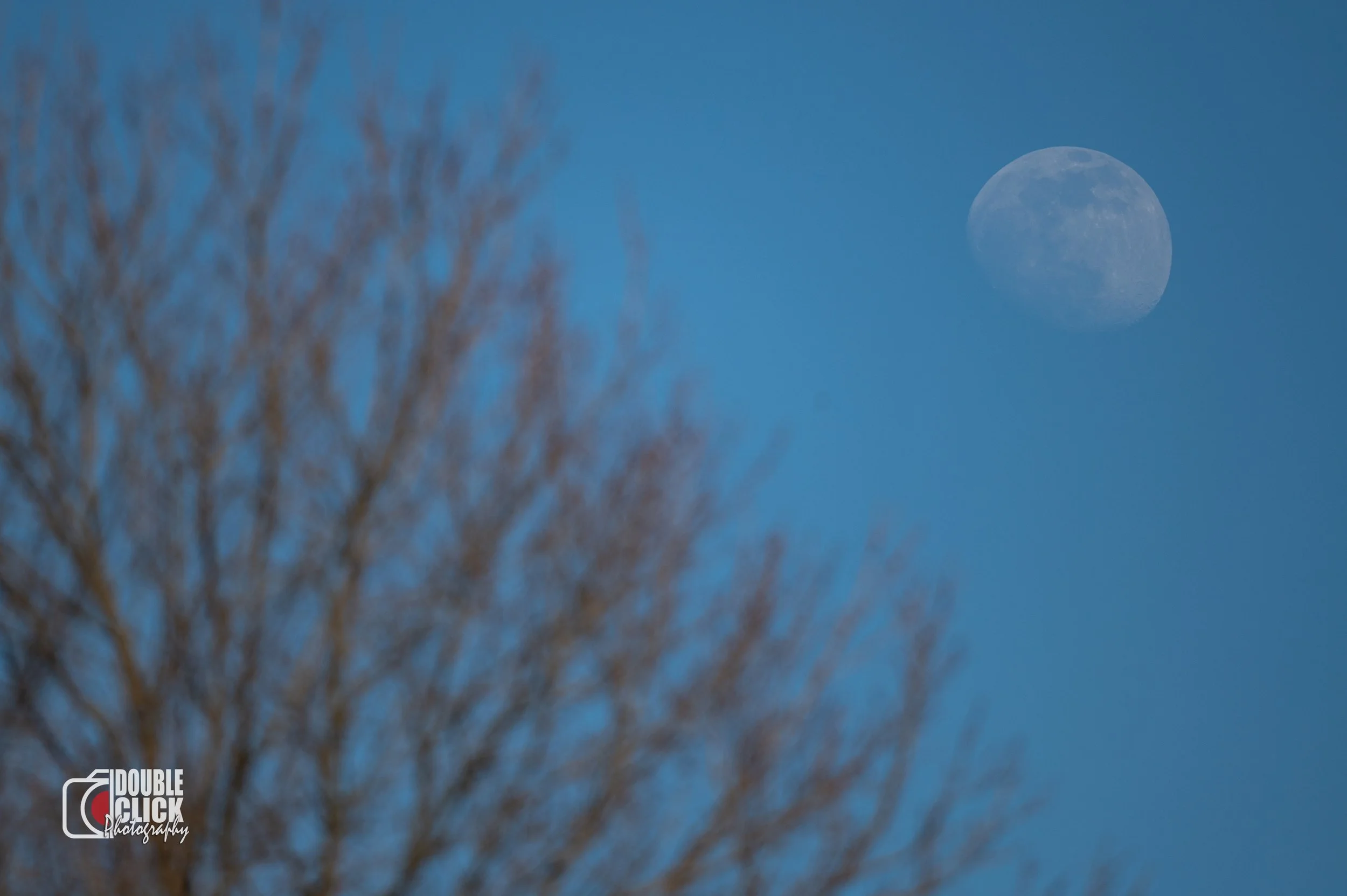 DSC_7004.jpg