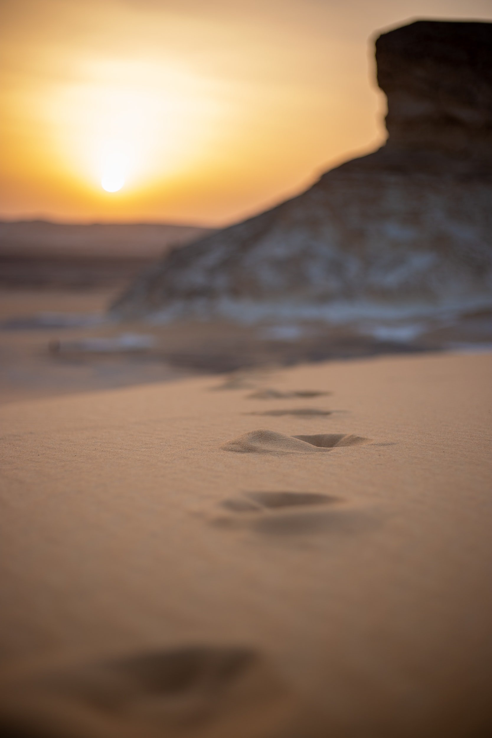 The Oasis…