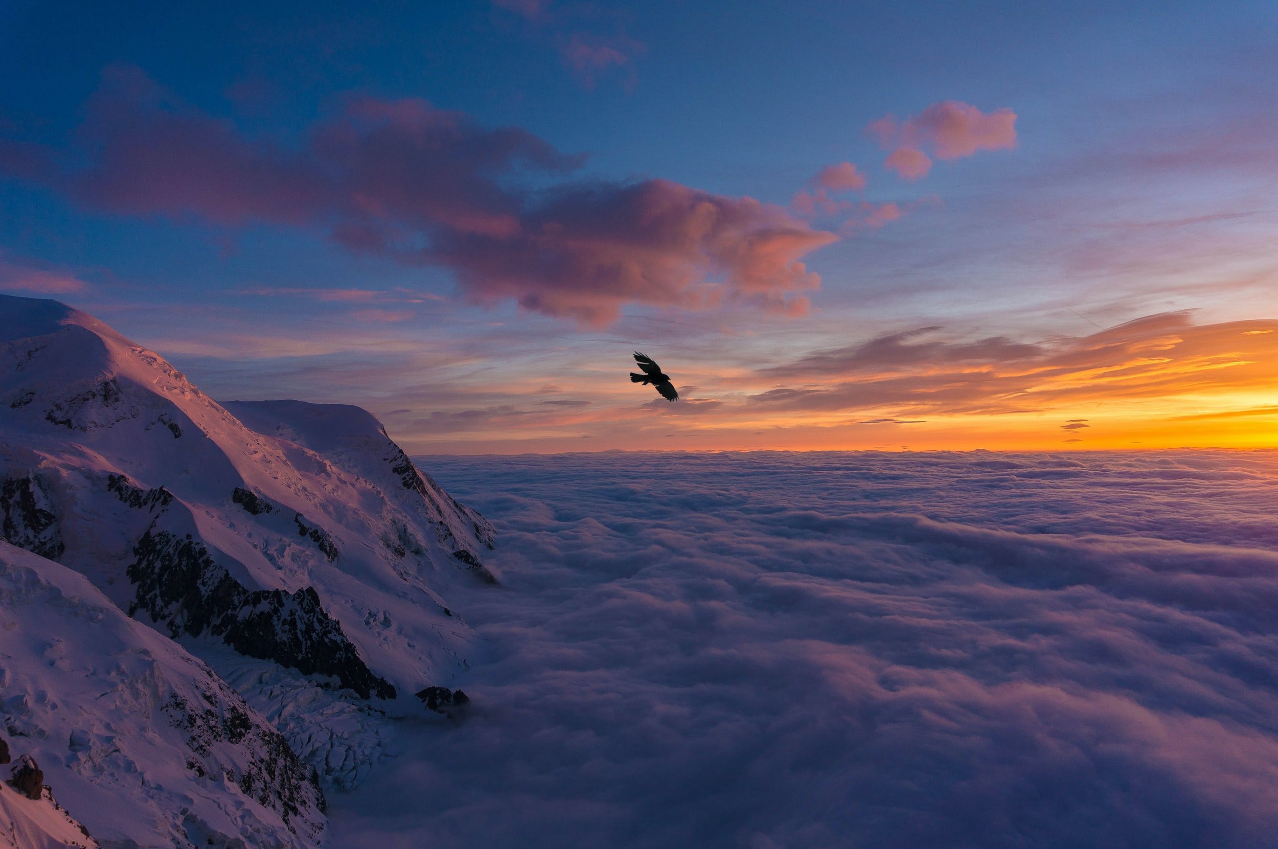 Flying or Controlling…