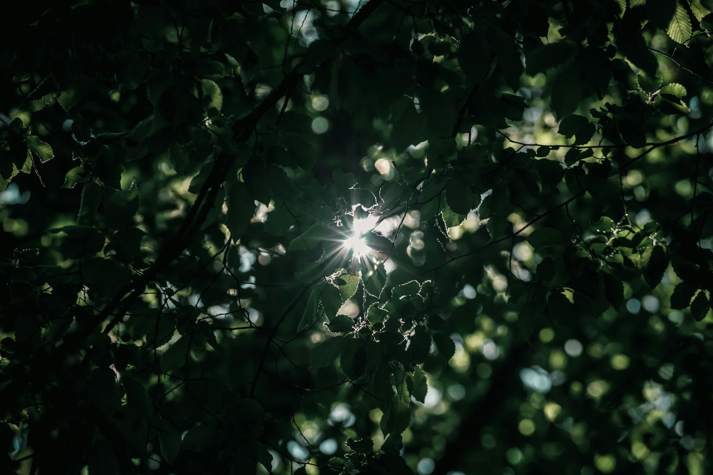 Ask, Seek, Knock…