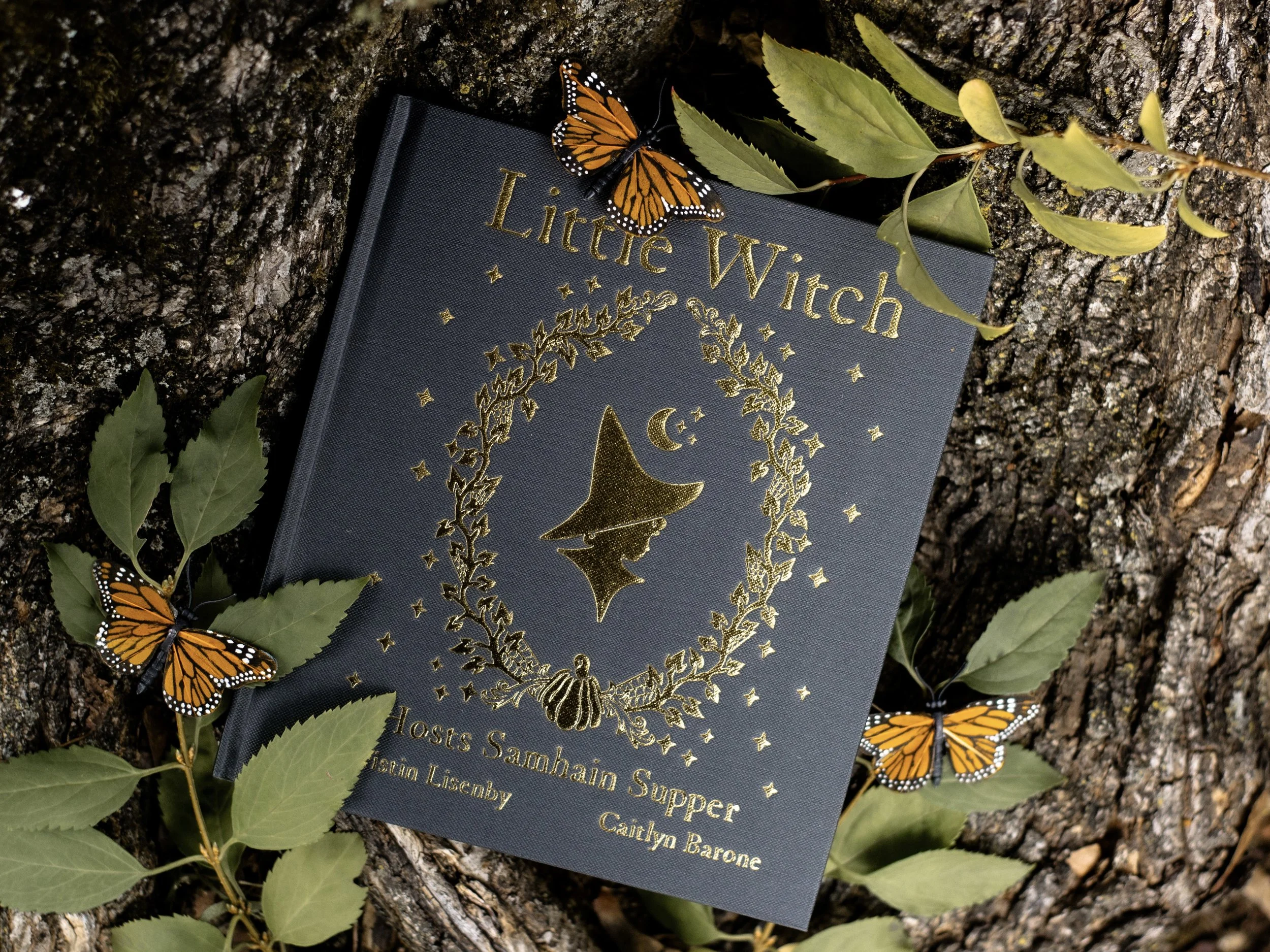 Shop — Little Witch Books