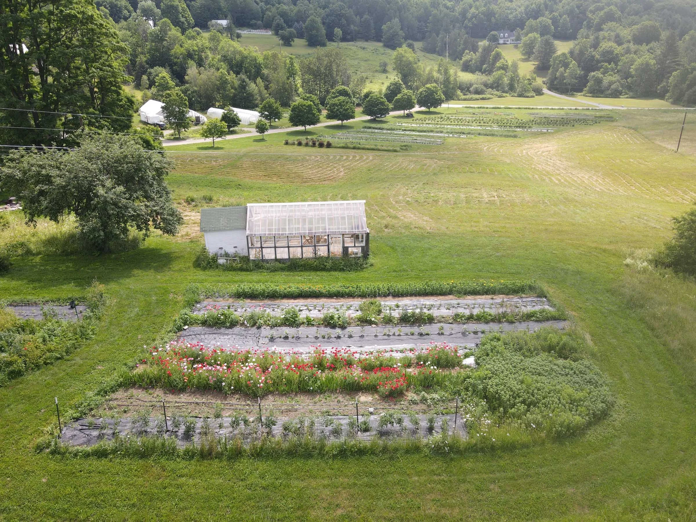 Vermont Wildflower Farm Best Flower Site