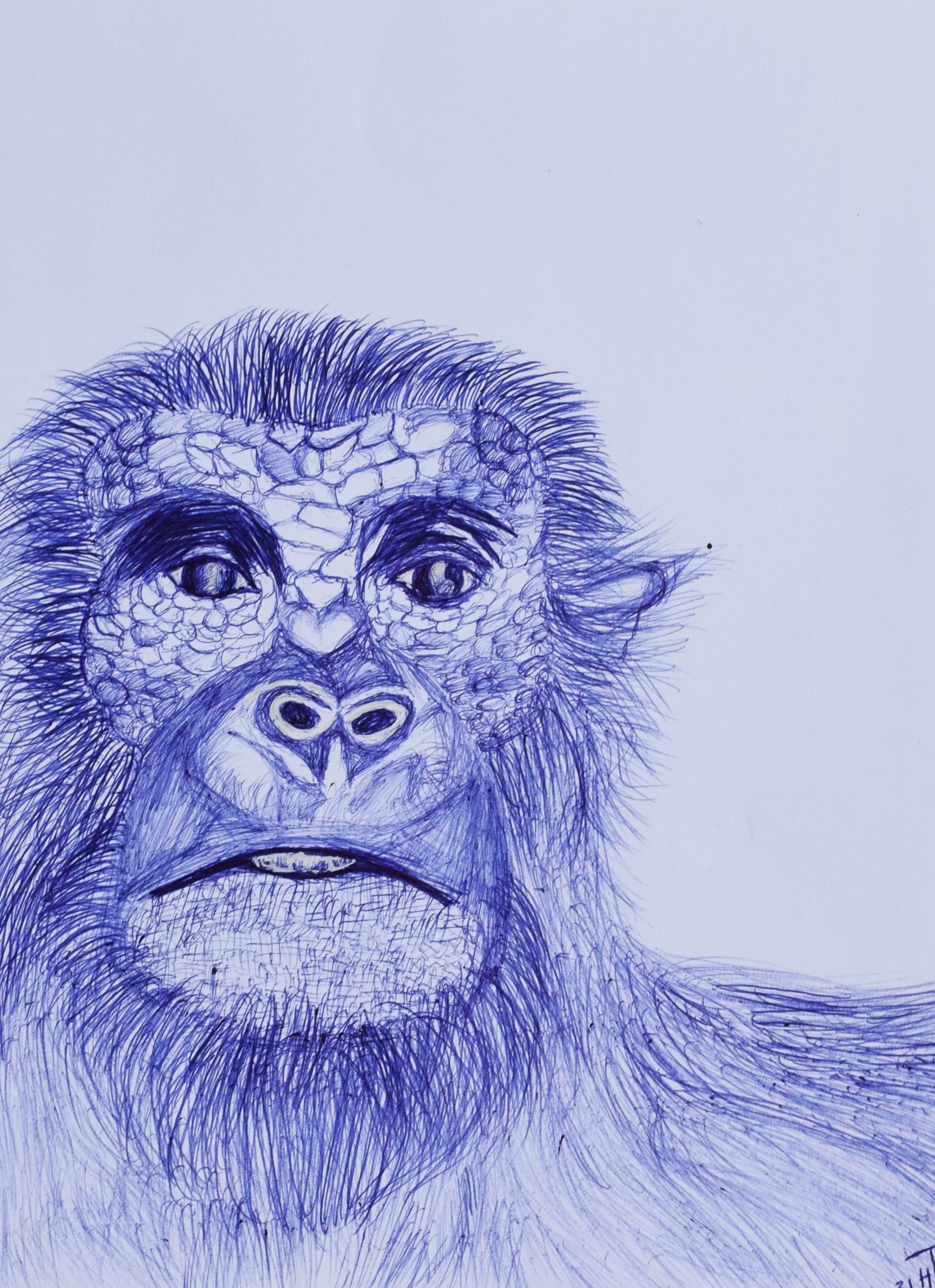 "A Penny for Your Thoughts?"