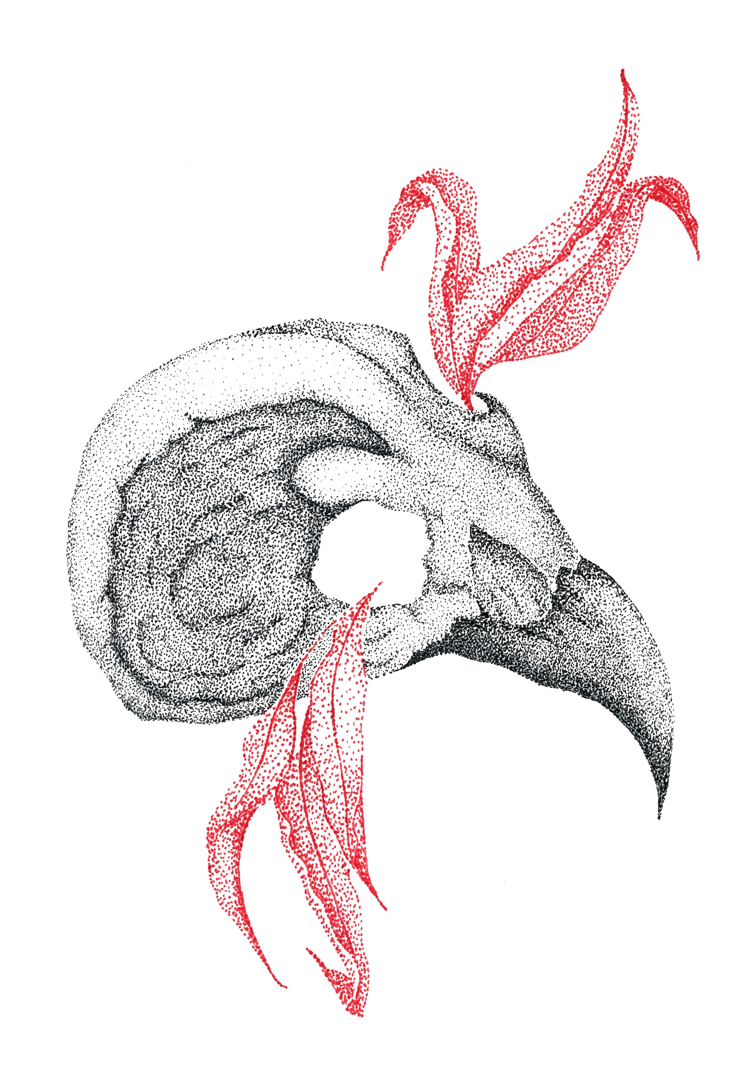 hawkskullredleaves.jpg