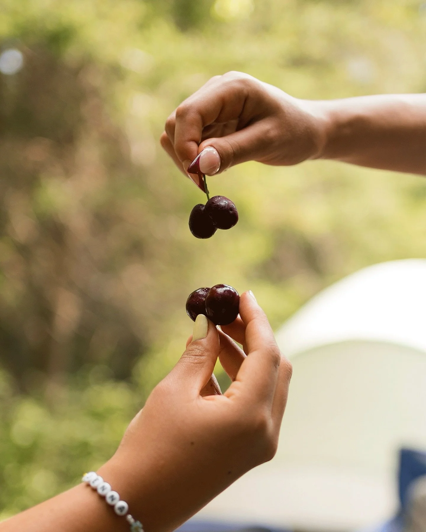 camping at balsam lake this past summer

shot on a sony a7ii + 35mm 1.8