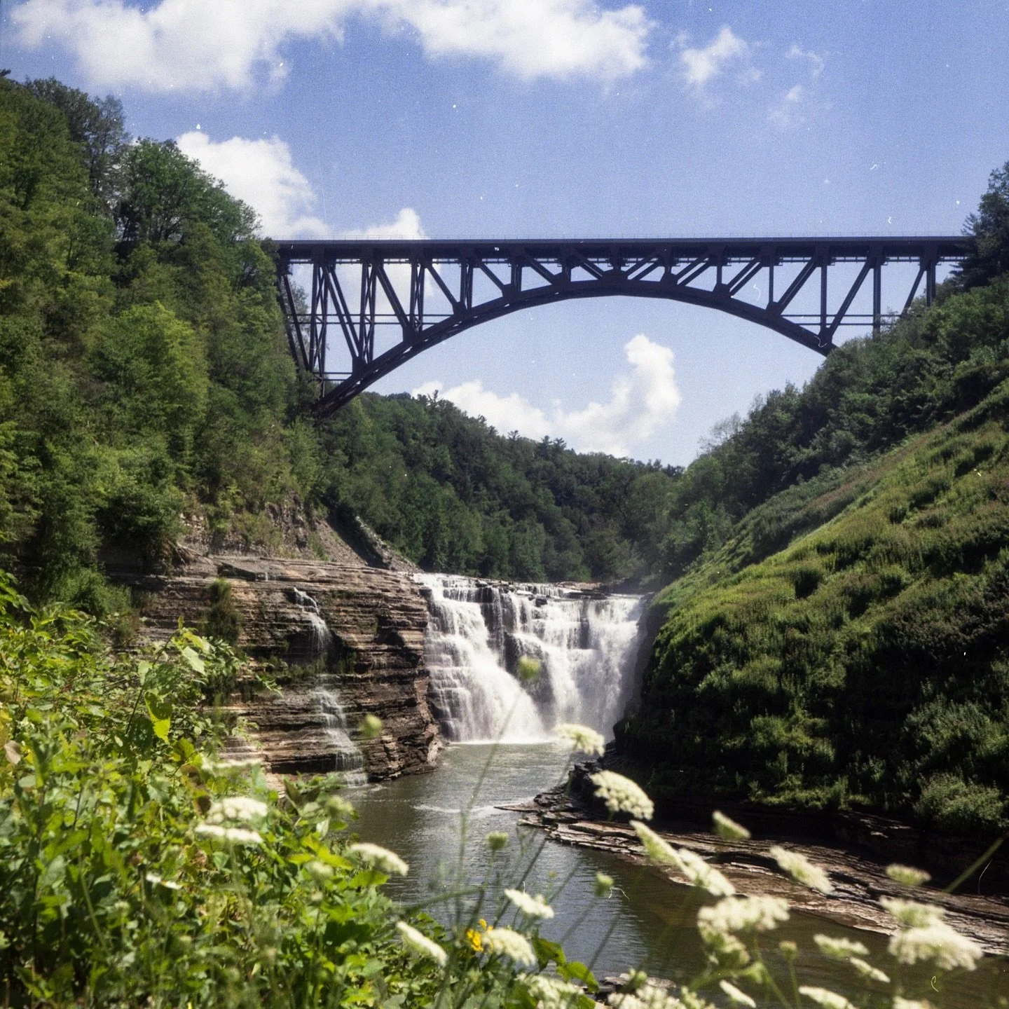 finally got around to scanning some very old and dusty 120 negs from a trip to upstate new york to visit letchworth state park in july 2022!

shot on kodak gold on a mamiyaflex
scanned by me :)