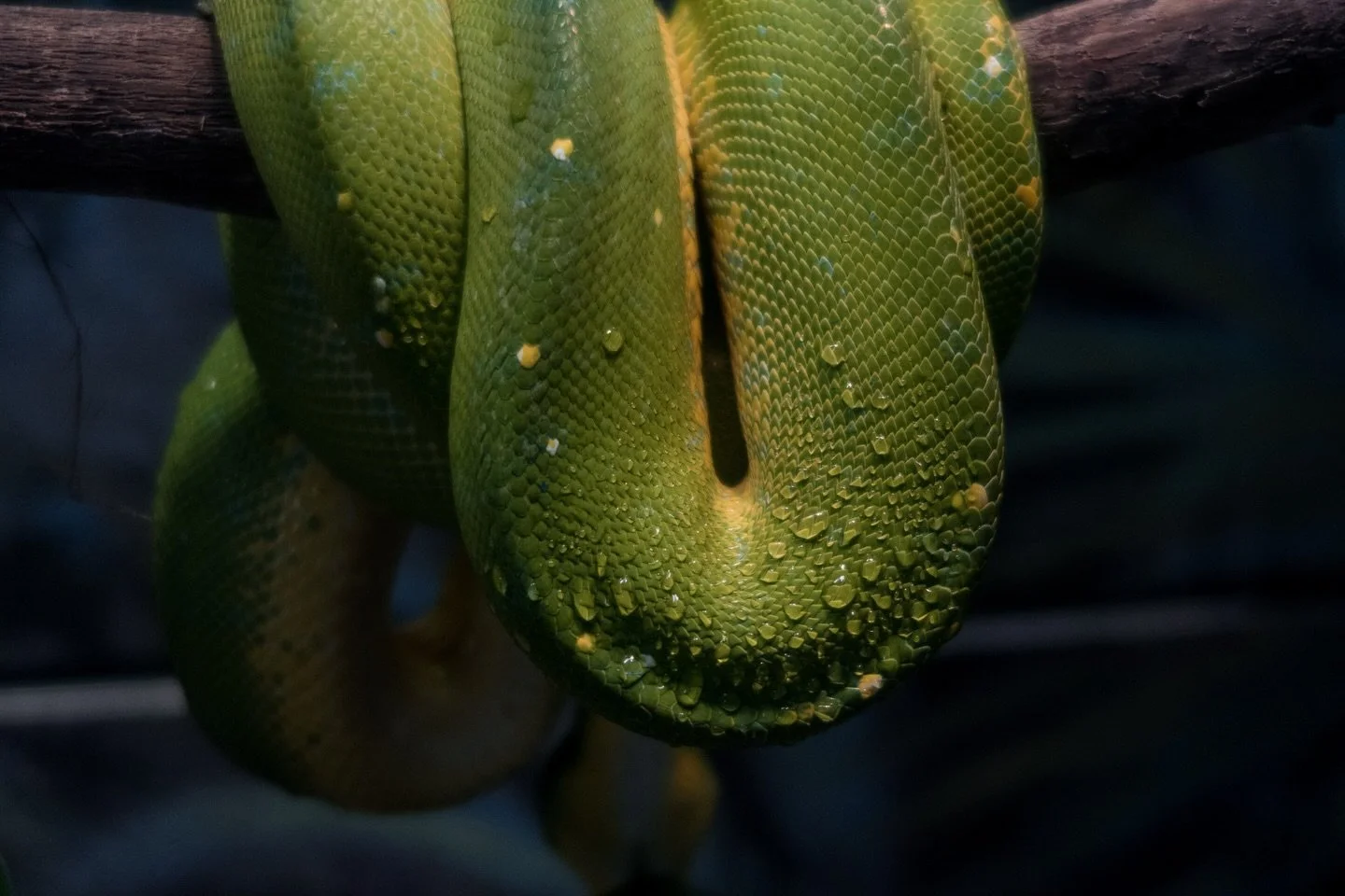 i ❤️ animals 🤓☝️
some zoo pics from my canon g5x that i&rsquo;ve been testing out recently!