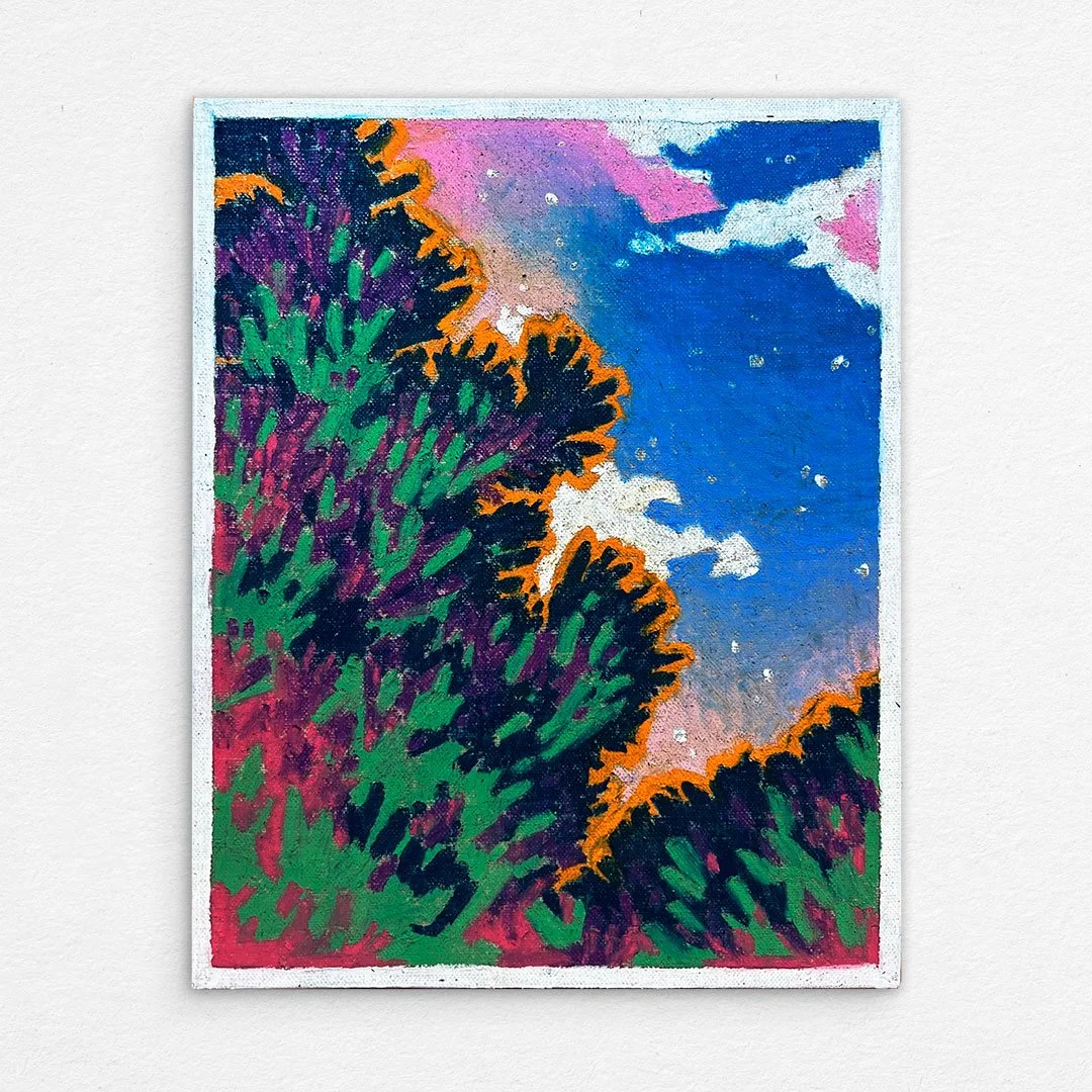 104_Foxground_Tiny_House_Stargazing_3.jpg
