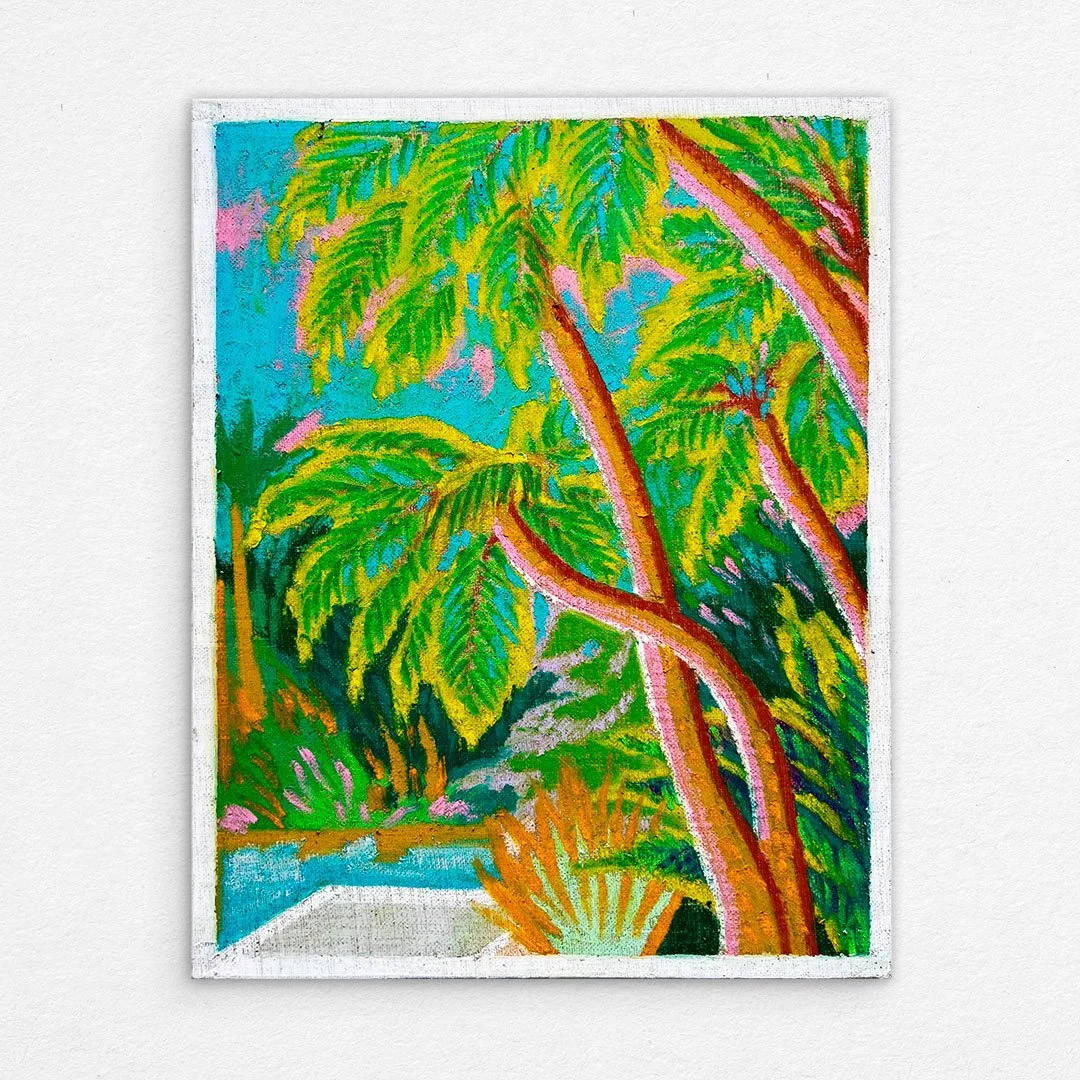 35_Mt_Annan_Jurassic_Garden_Australian_Botanical_Gardens.jpg