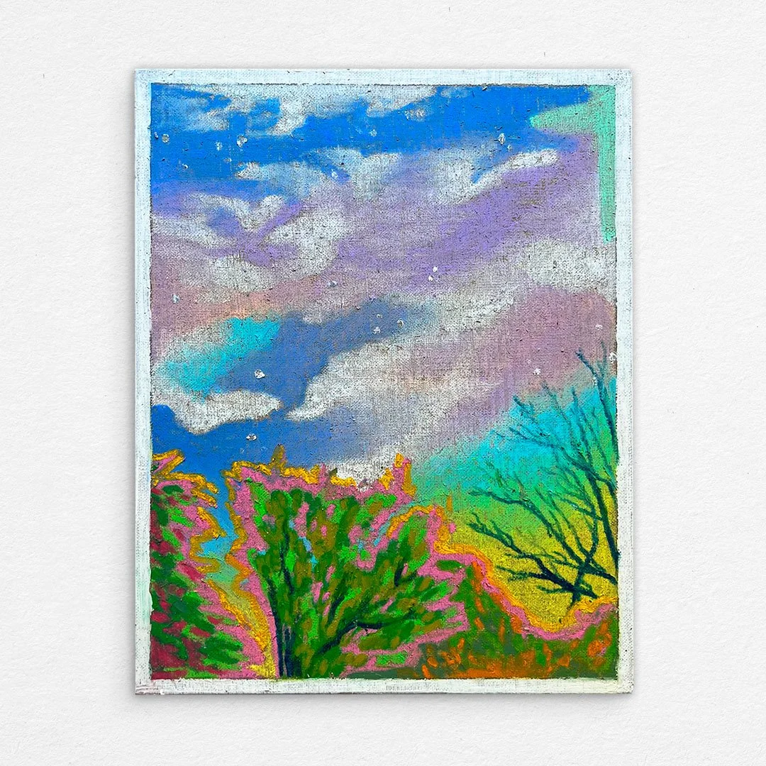 105_Wollstonecraft_Telopea_Winter_Skies.jpg