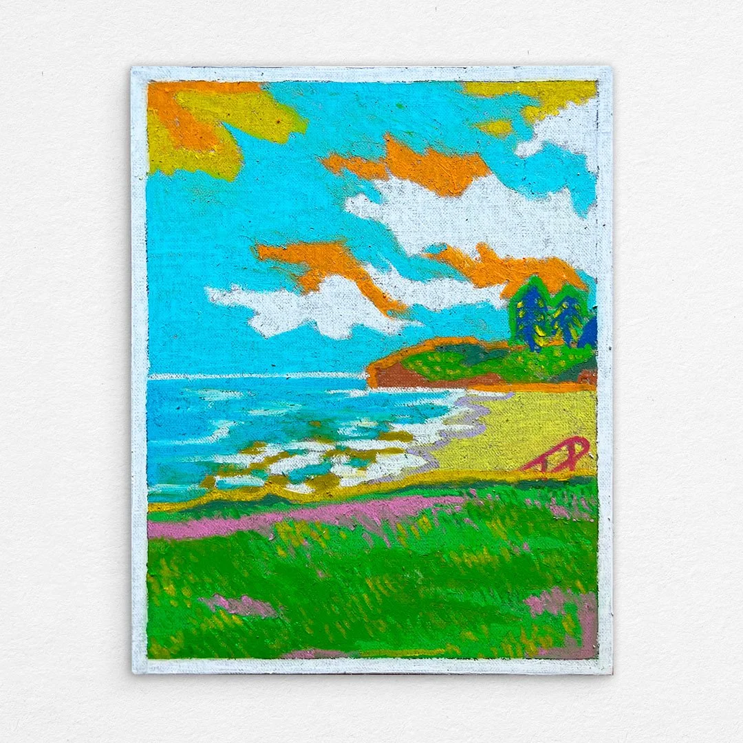 62_South_Coast_From_Another_Perspective_Little_Austinmer_Beach.jpg