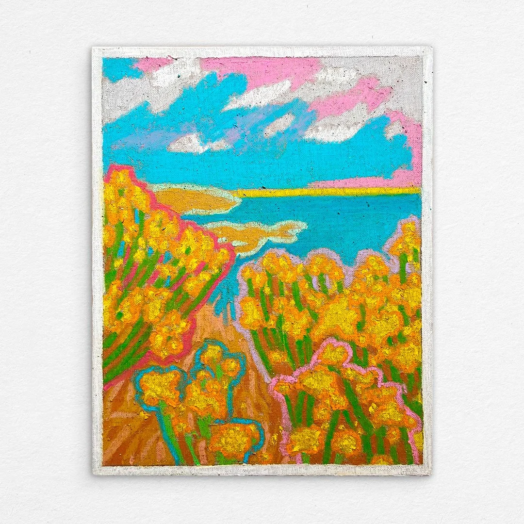50_San_Diego_Yellow_Blooms_LaJolla_Beach_Cove.jpg