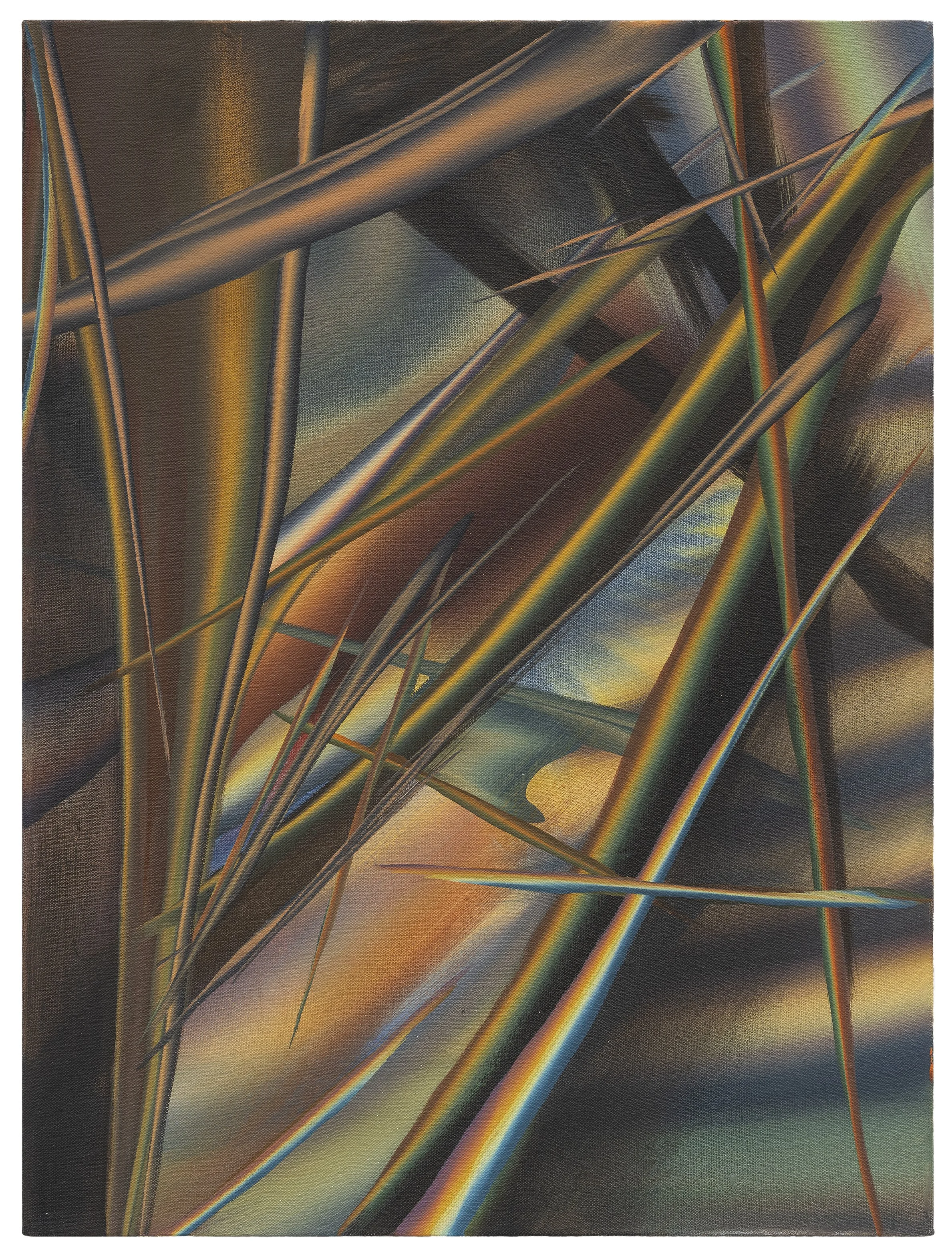  Brown Swift,  2024  Oil on linen 24 x 18 in. 


