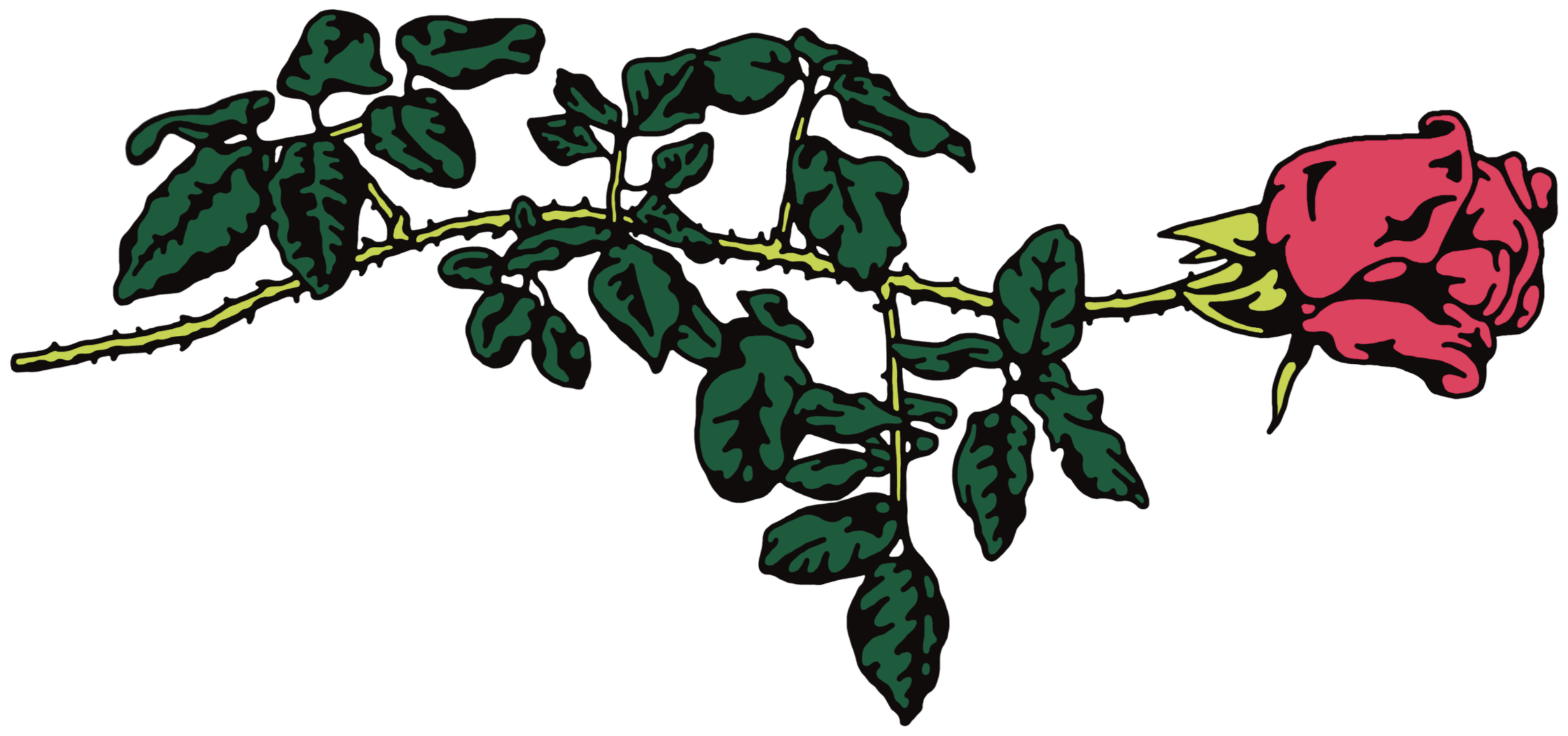 Rose_Fixed_Colors+2.png