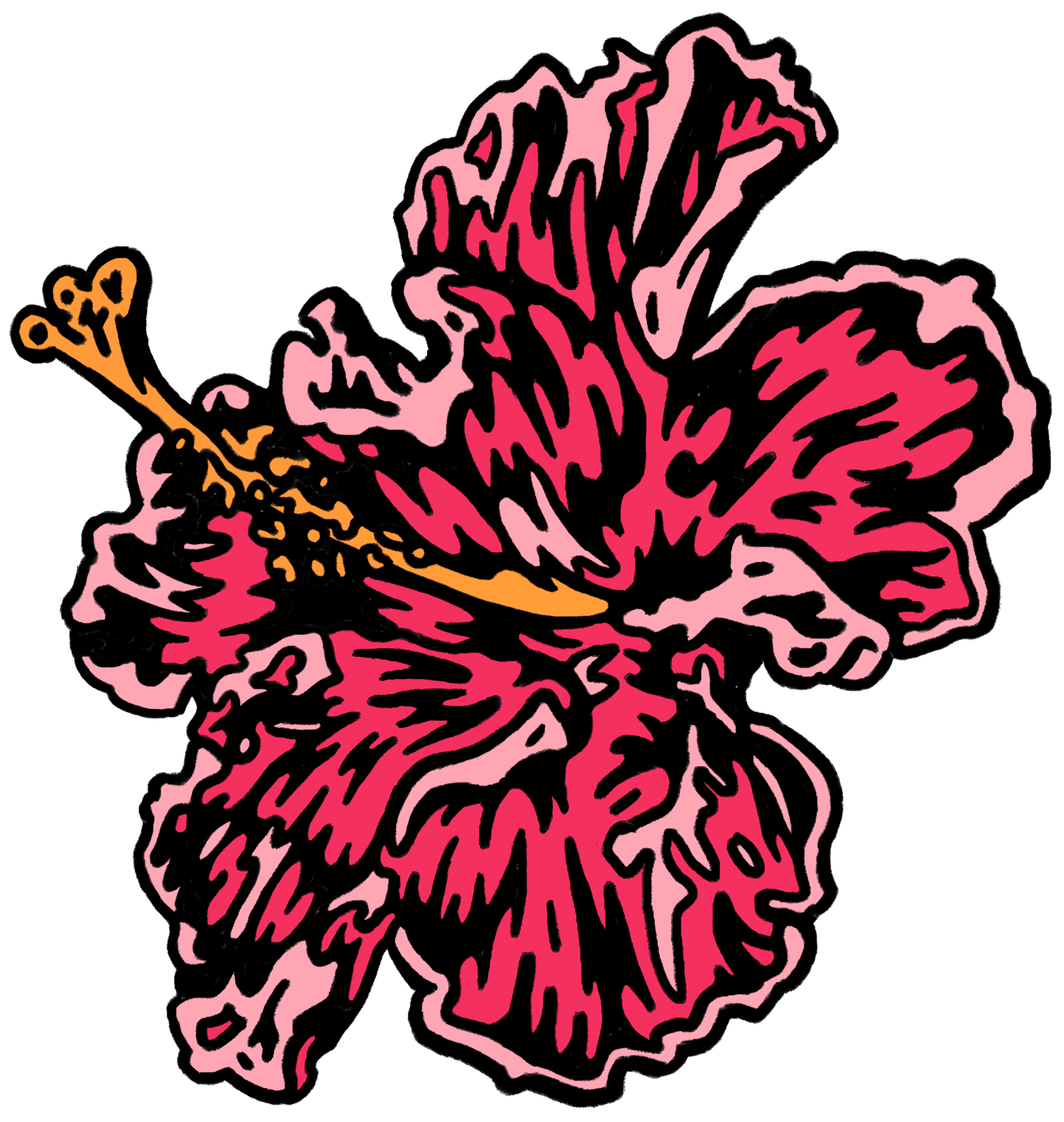 hibiscus.png