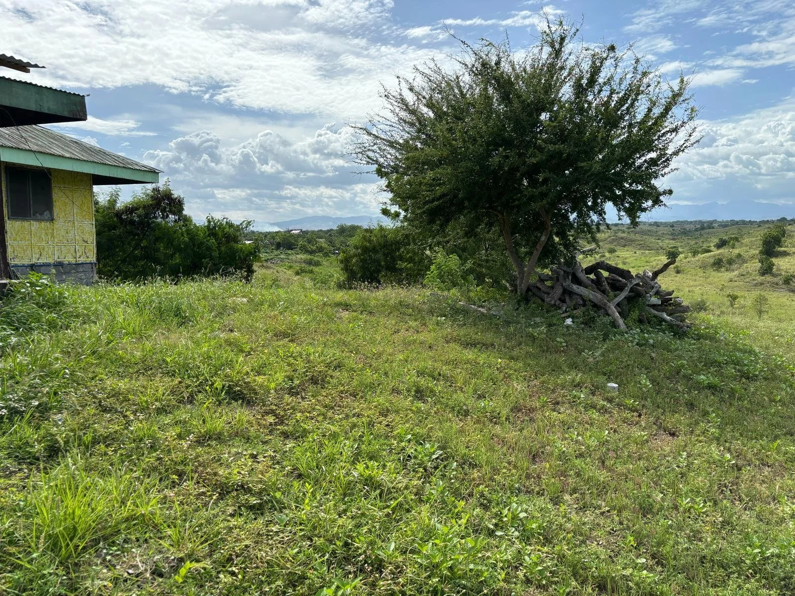 WhatsApp Image 2025-03-09 at 04.29.15 (1).jpeg