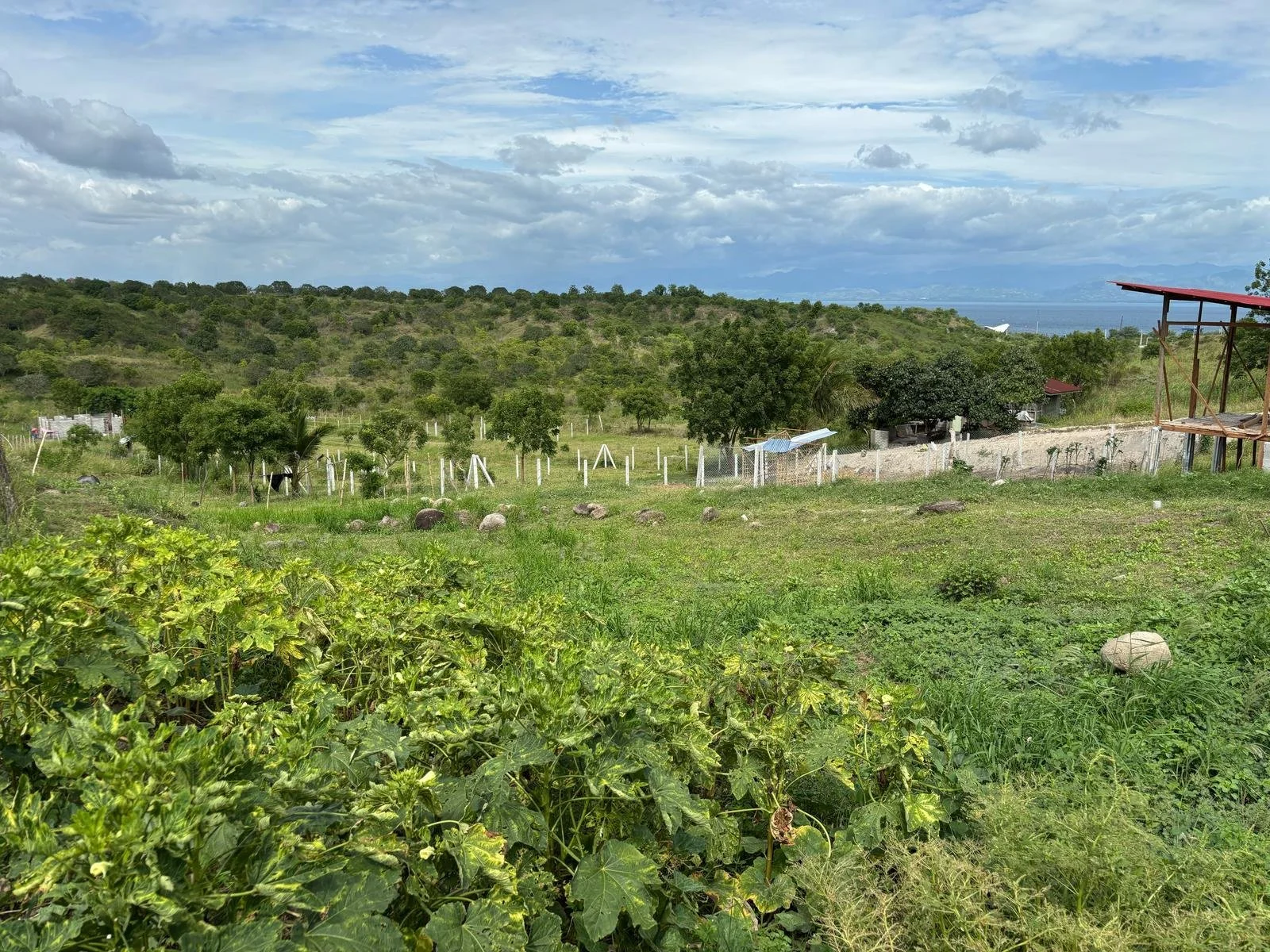 WhatsApp Image 2025-03-09 at 04.29.14.jpeg