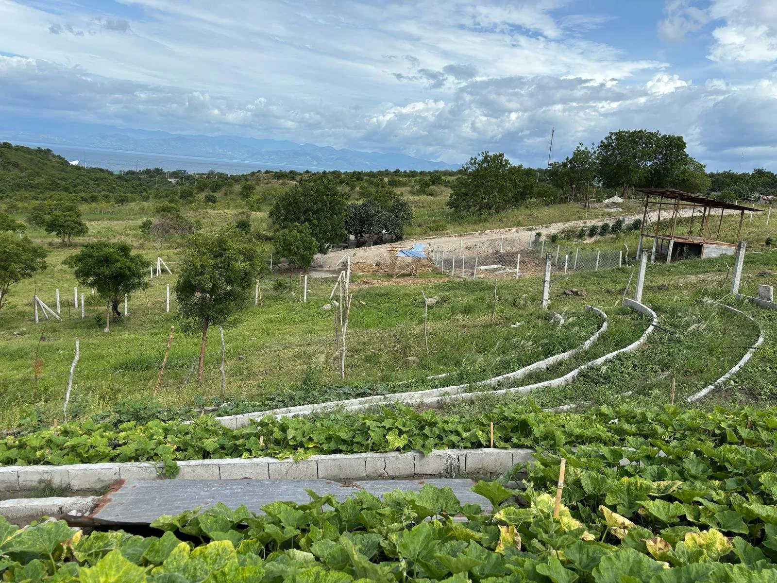 WhatsApp Image 2025-03-09 at 04.29.16.jpeg