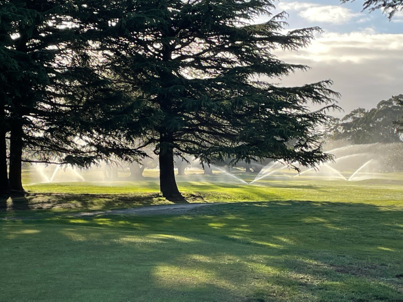 Golf Course, Rangiora 