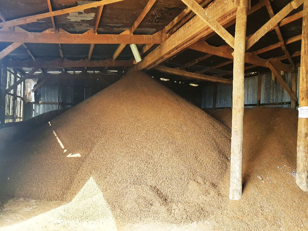 Shed Stored