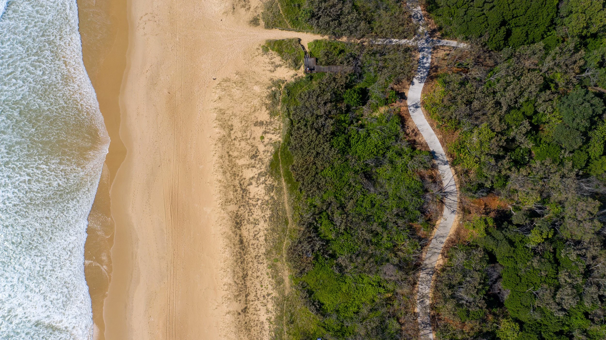 Aerial view of a beach with sandy shoreline, ocean waves on the left, and a forested area with a winding path on the right.
