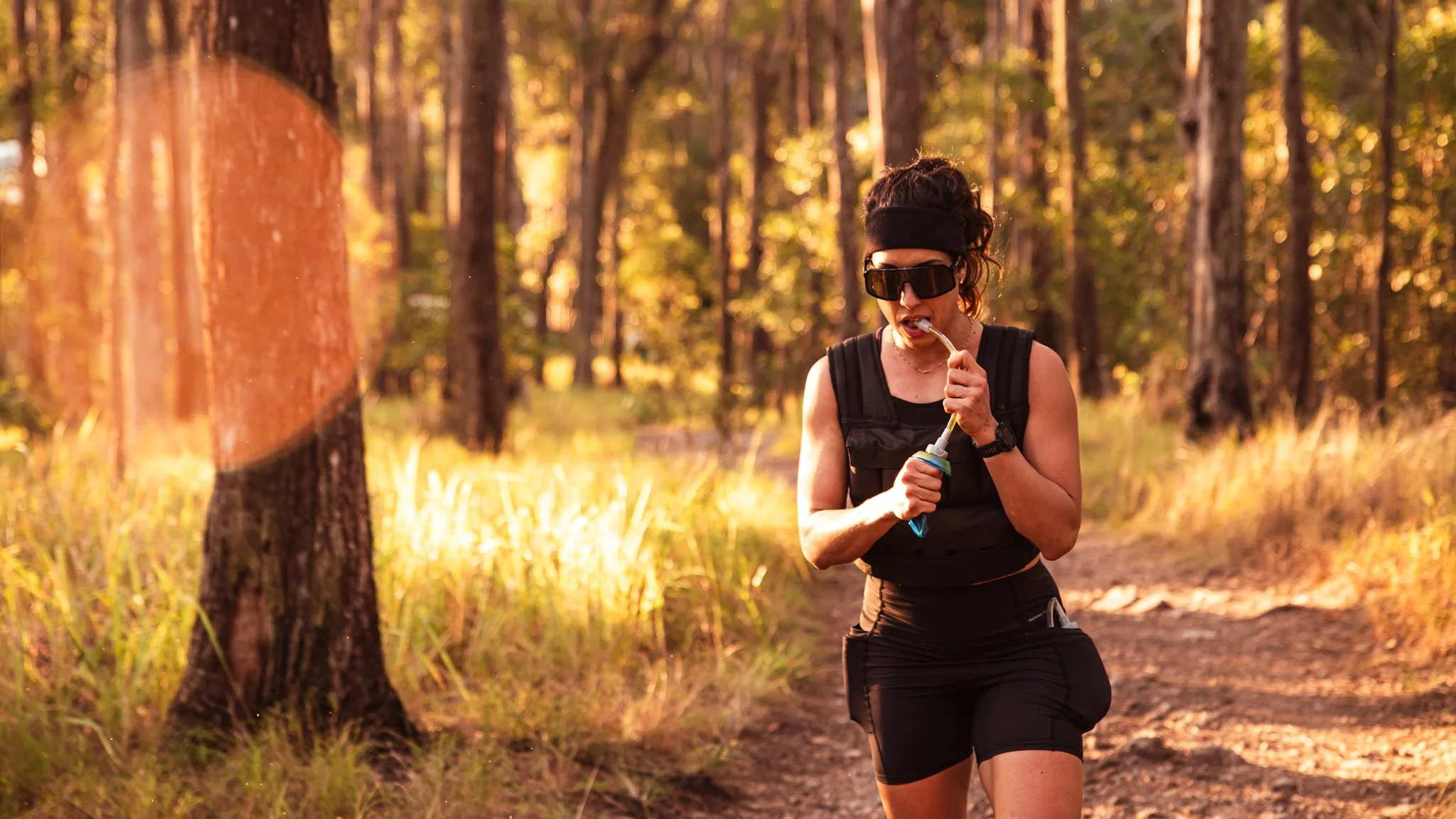 230705 Mt Ninderry - Sml Autumn-6.jpg