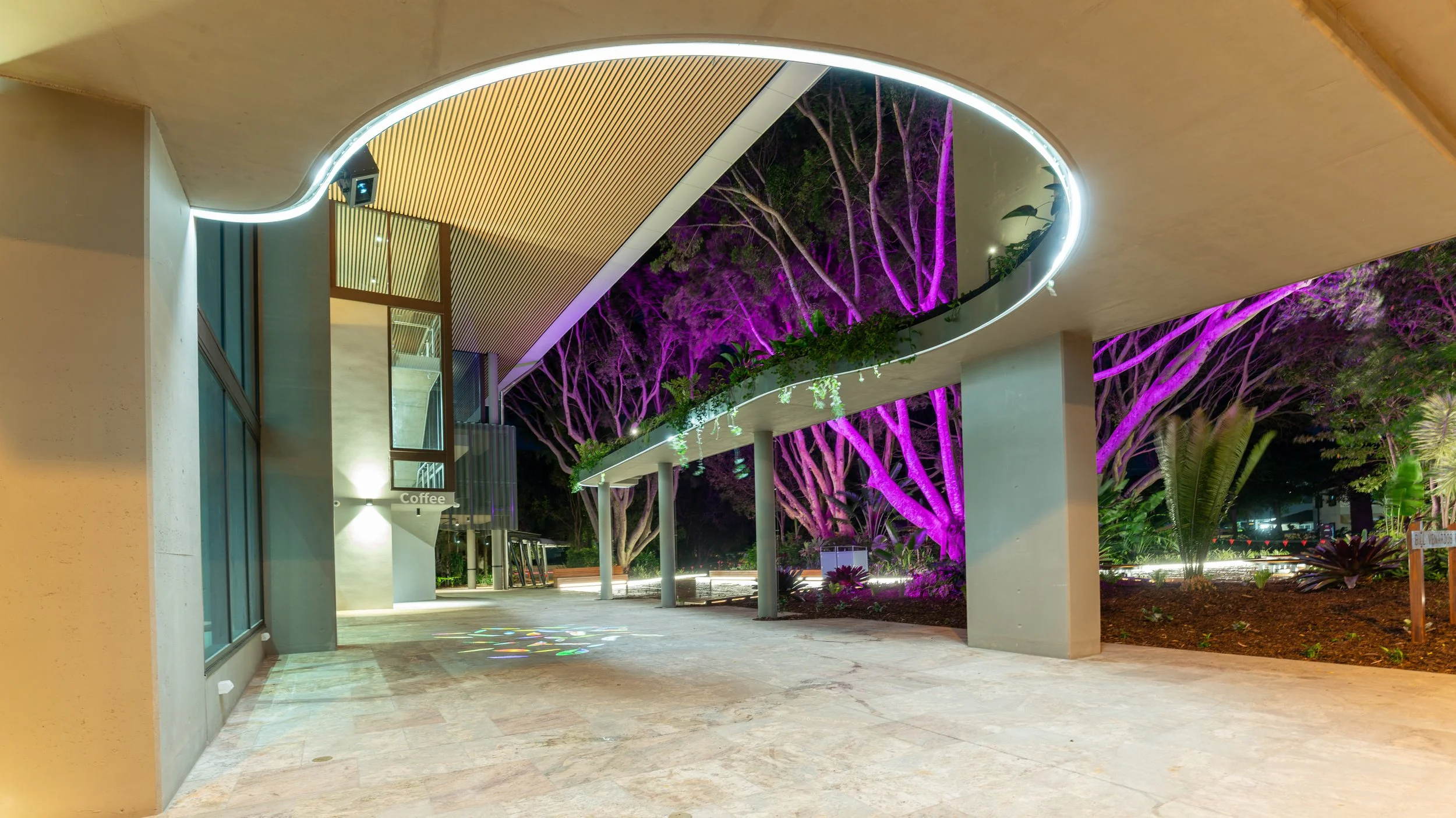 Night view of a modern building with a curved roof, illuminated by lights, next to a garden with trees lit in purple, and a pathway with colorful light reflections.