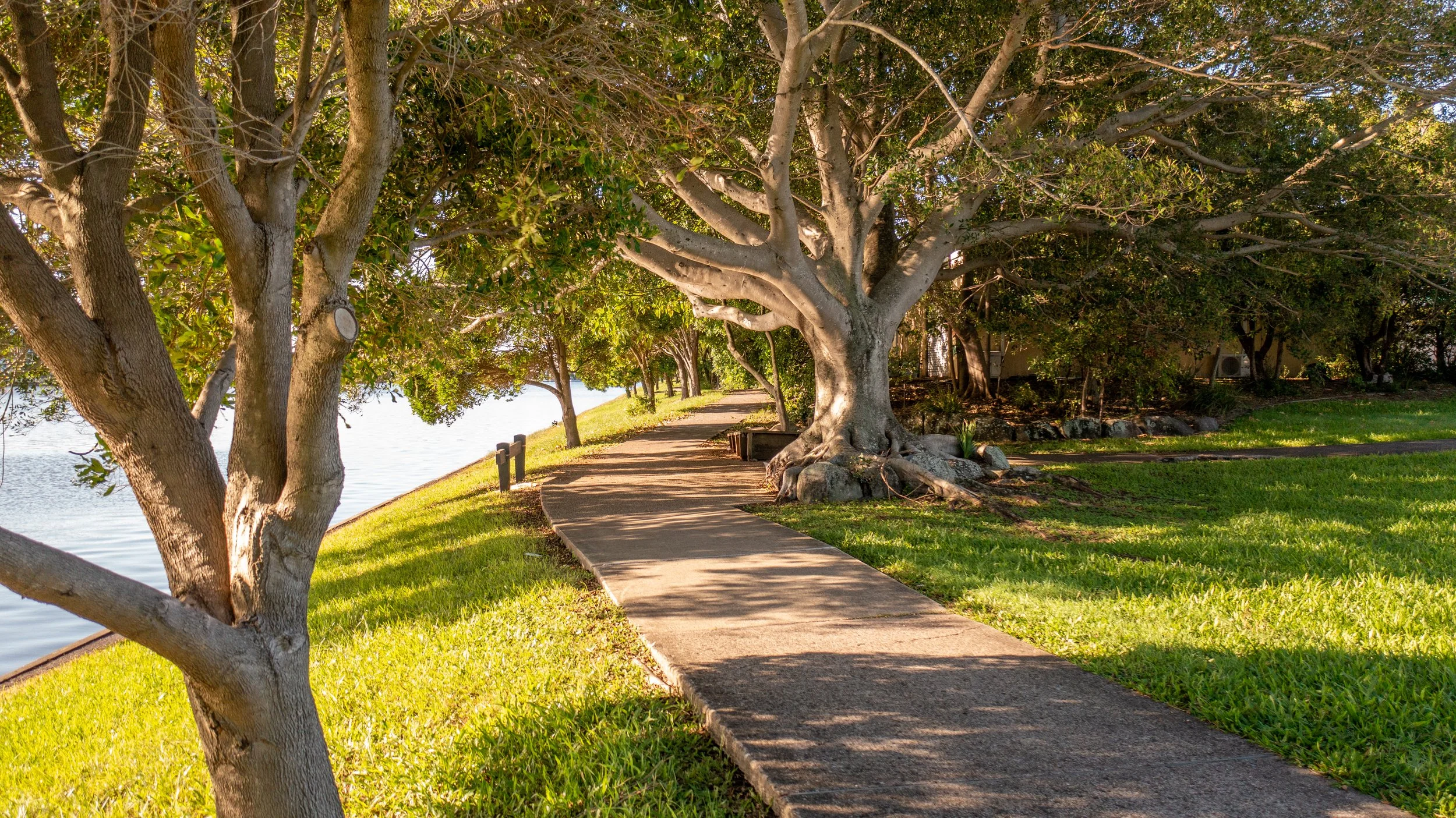 A peaceful lakeside scene with a concrete path winding through green grass and shaded by large, leafy trees. The water of the lake is visible on the left side of the path, with sunlight filtering through the tree branches.