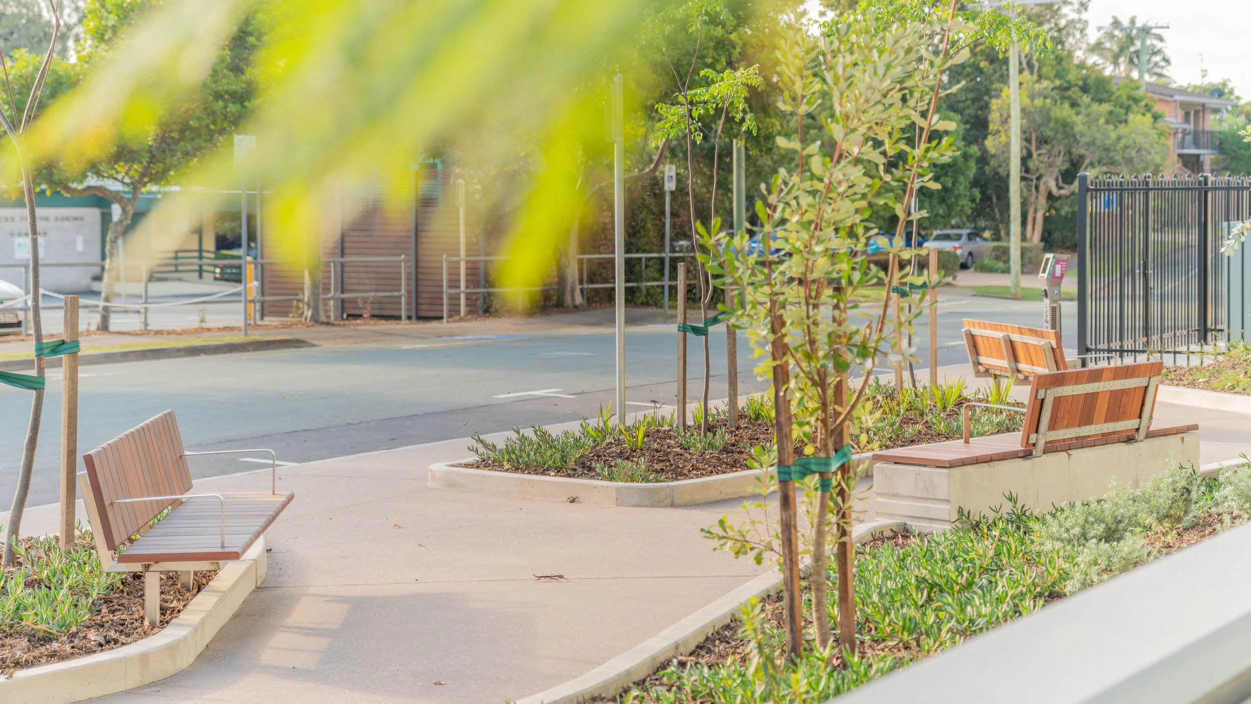 A park with wooden benches on a sidewalk, small trees planted in landscaped areas, and a street with cars in the background, surrounded by greenery and a fence.