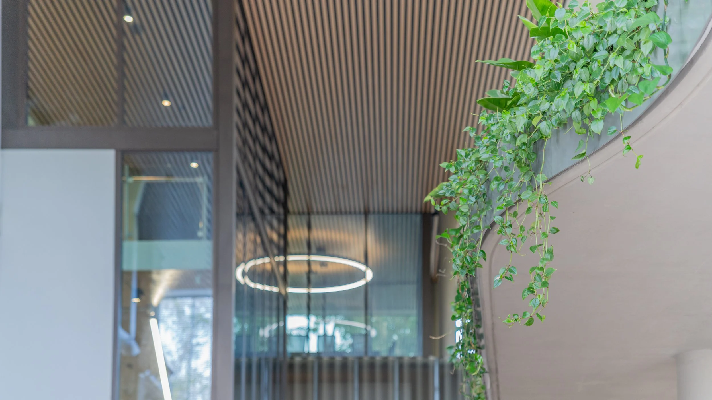 Interior of a modern building with hanging green vines, circular ceiling lights, and a wood-paneled ceiling.