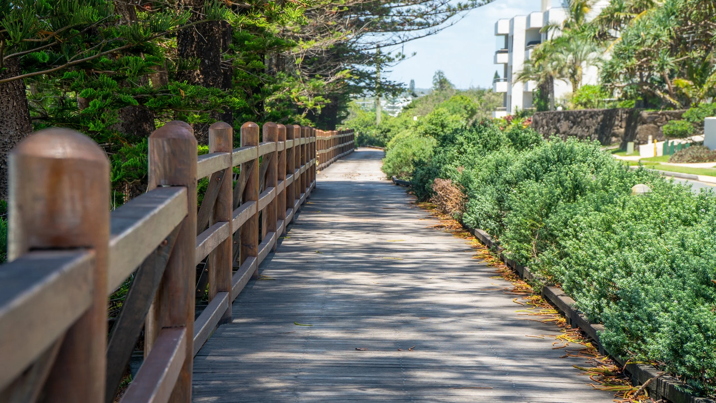 Wooden pathway bordered by green bushes on the right and fenced on the left, with trees and buildings in the background under a clear blue sky.