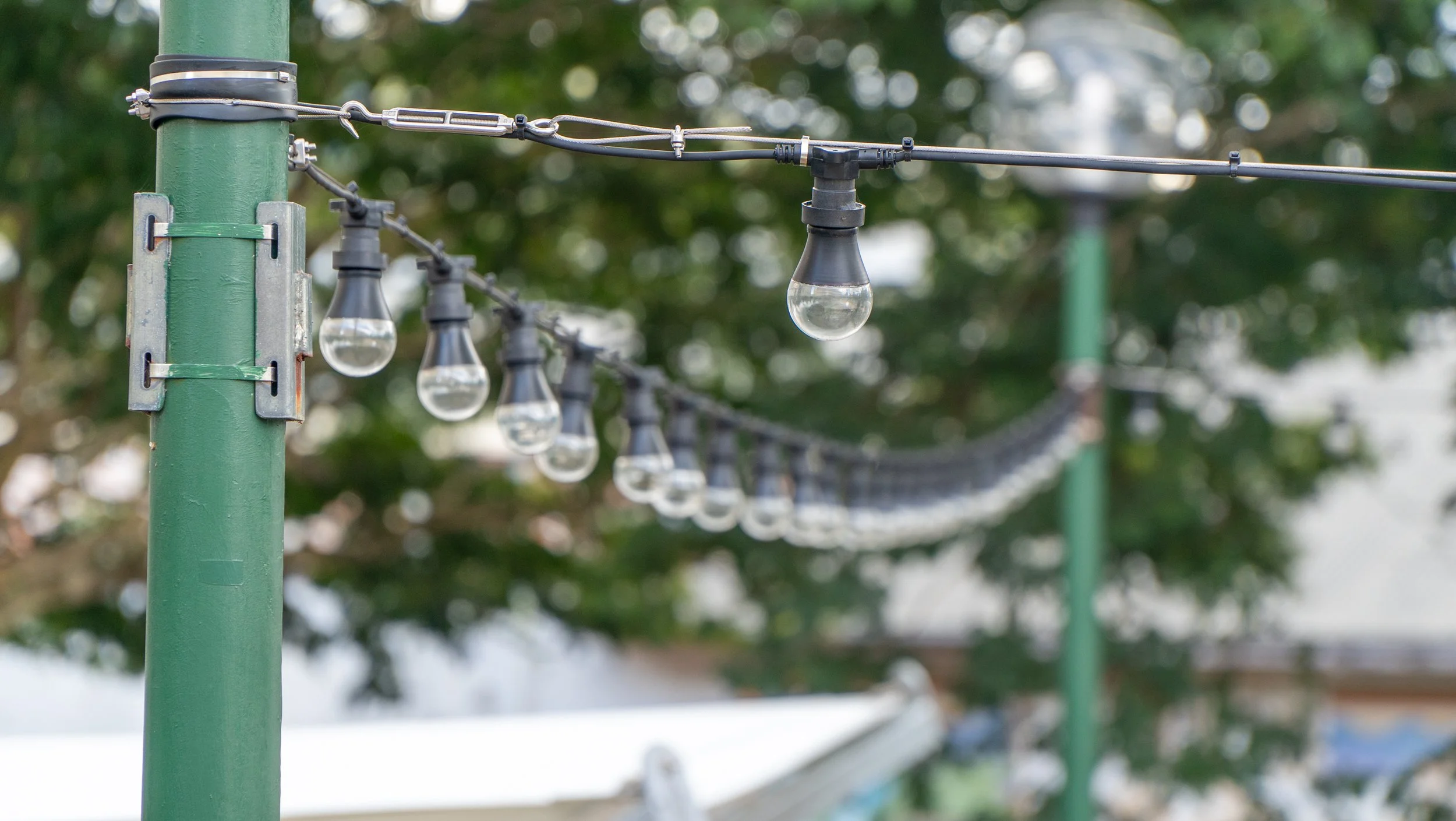 Outdoor string lights with clear bulbs hanging from a green pole, blurred trees and outdoor setting in the background.