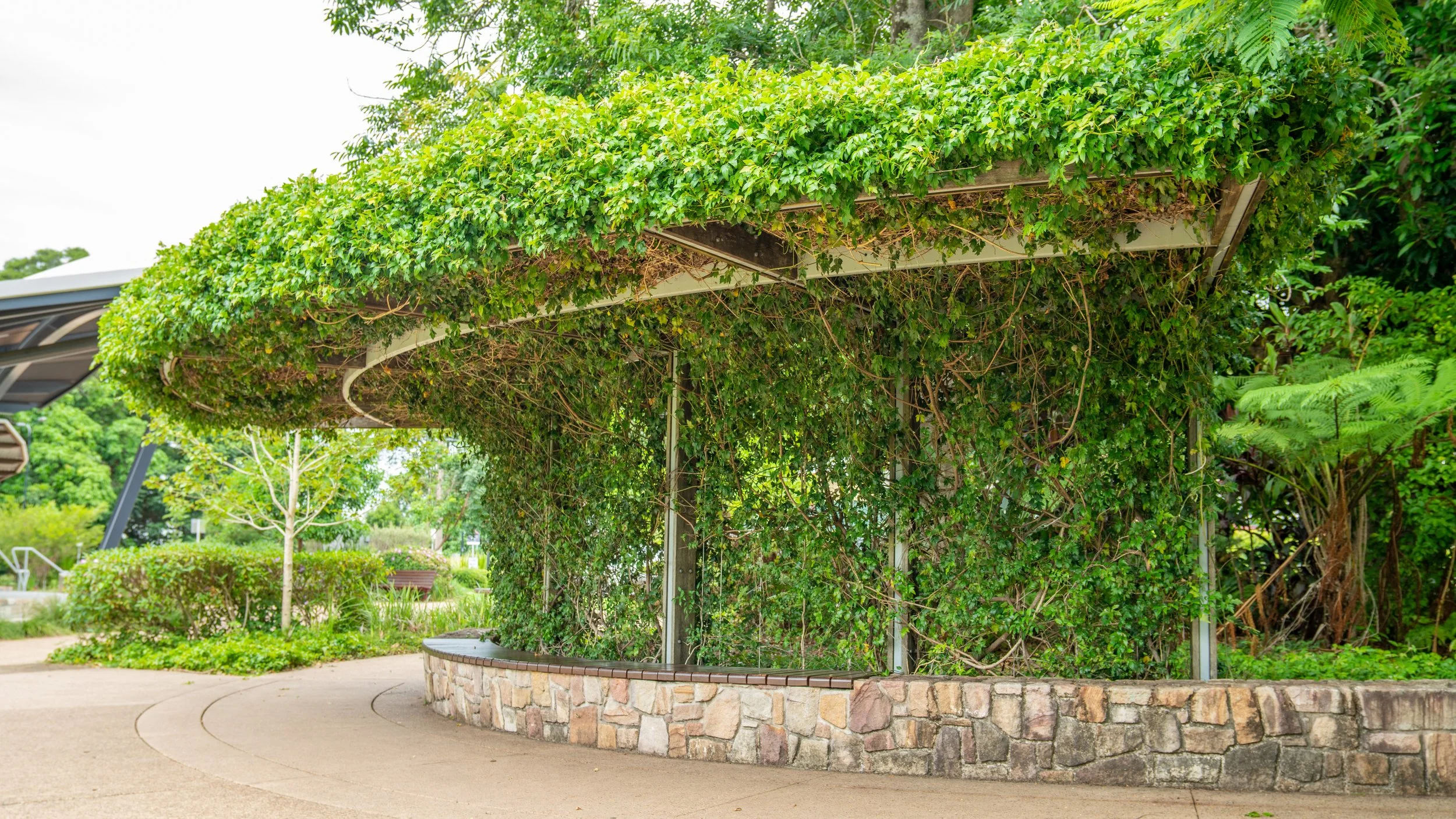 A park with a curved pathway, green bushes, small trees, and a structure covered in lush green vines and leaves, providing shade.