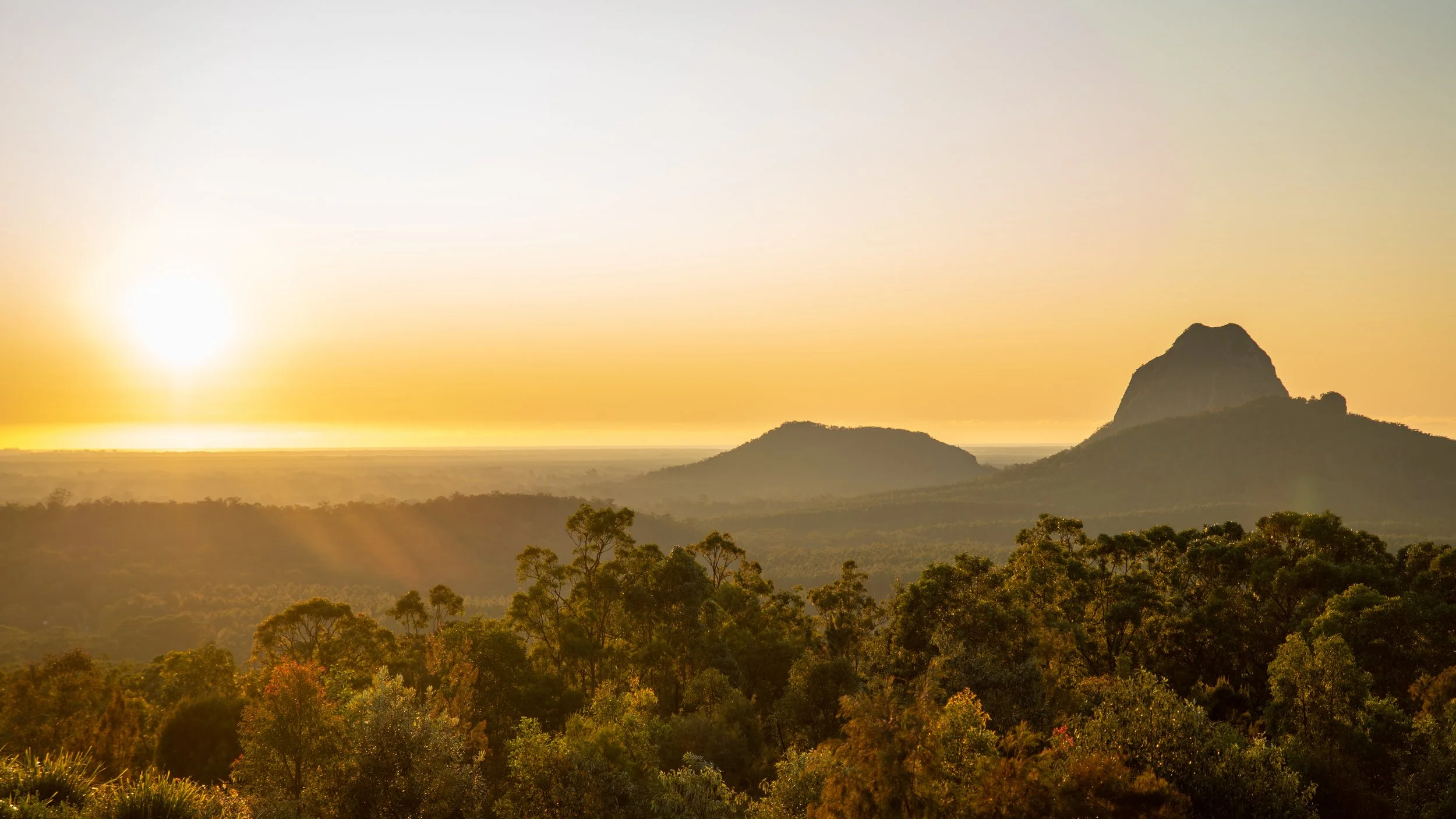 Sunrise over a lush forest with distant mountains, including a prominent peak on the right.