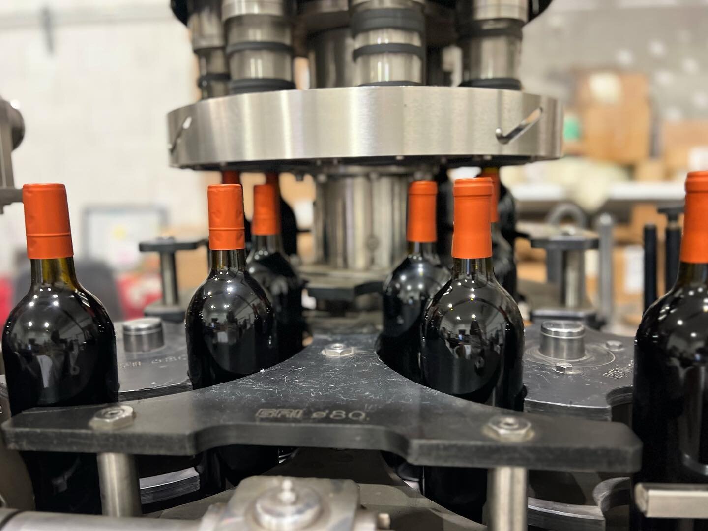 Enjoying every moment of the process. 

Our team at Vines + Ink will guide you each step of the way when ordering your customized wines. 

Check out the link in our bio to find out more.

#vinesandink #lodiwine #wine #branding #customewine #customwin