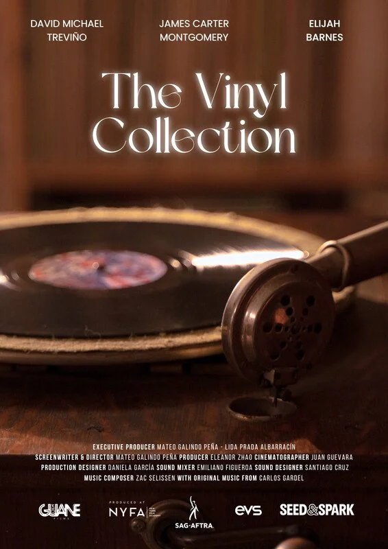 THE VINYL COLLECTION