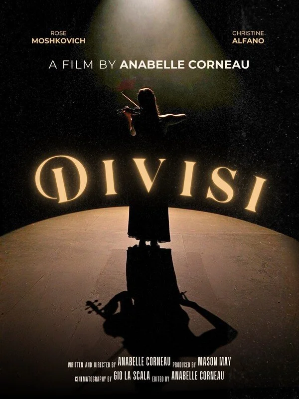 DIVISI