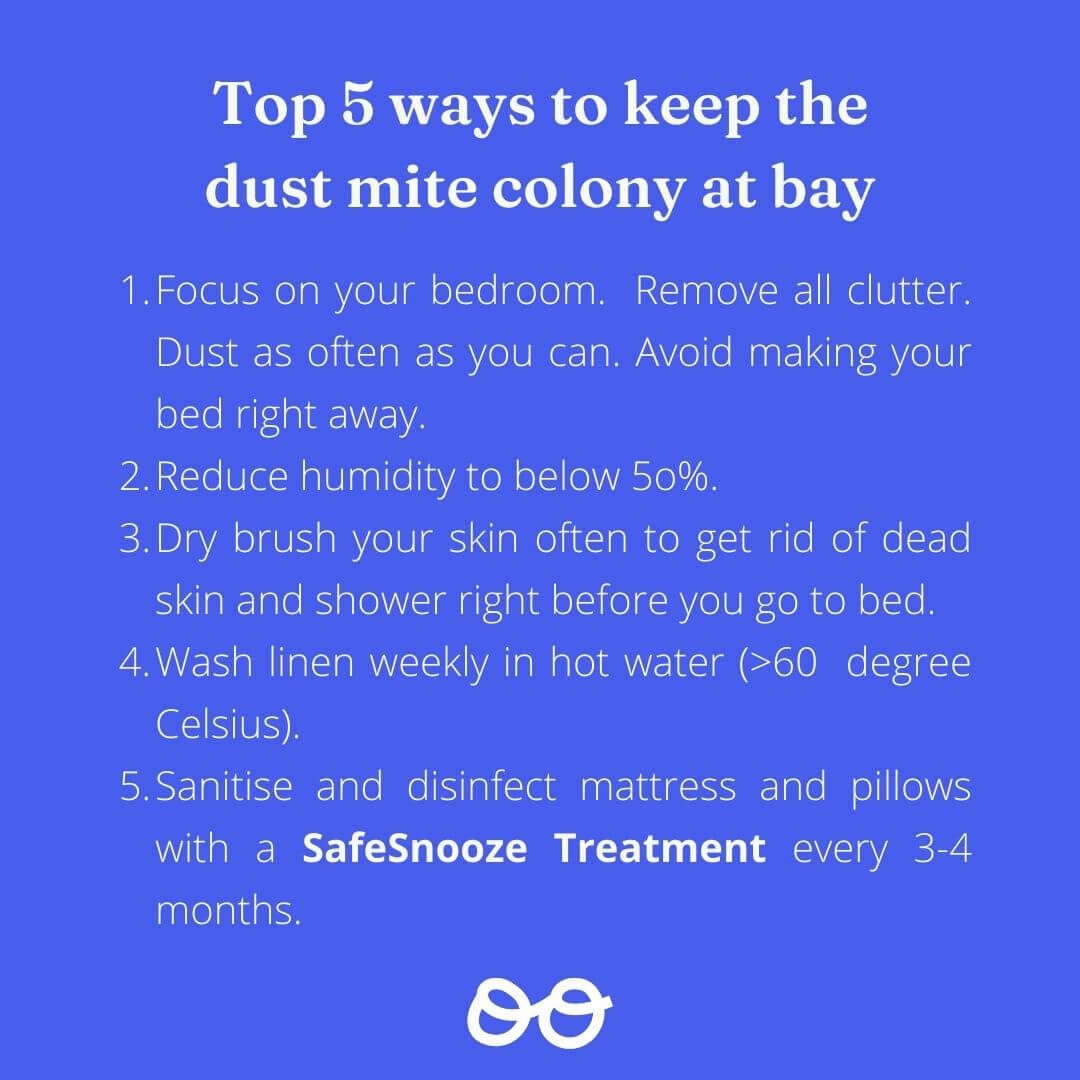 5-ways-keep-dust-mites-at-bay.jpg