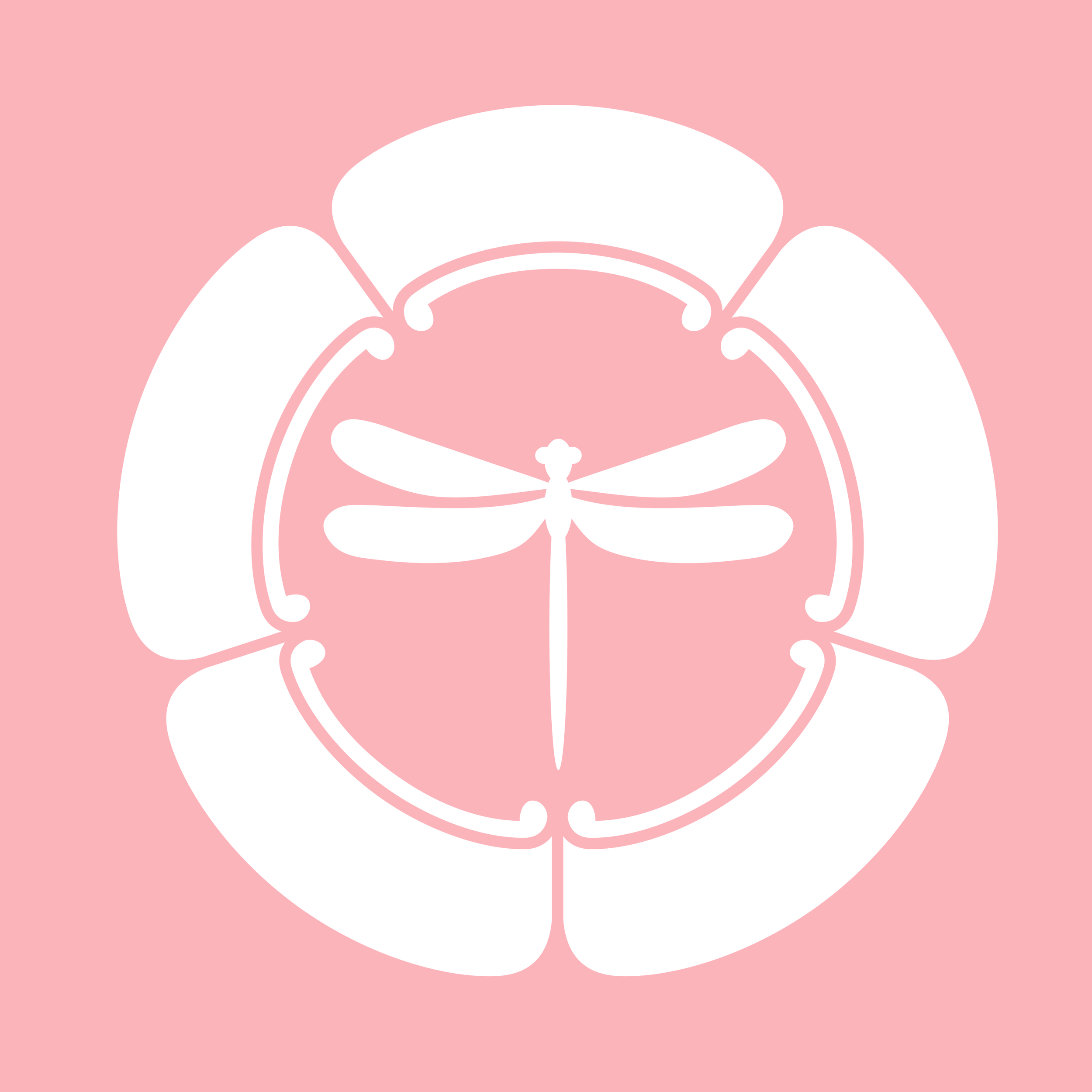 GNYNF – SHINSA EXAM