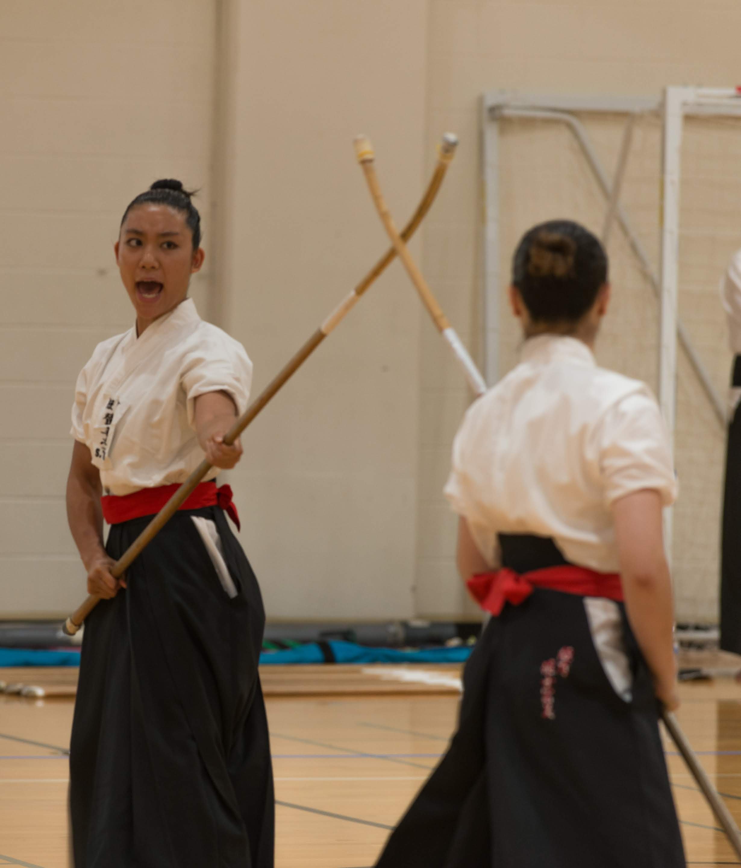 Naginata Rice About Naginata — Greater New York Naginata Federation