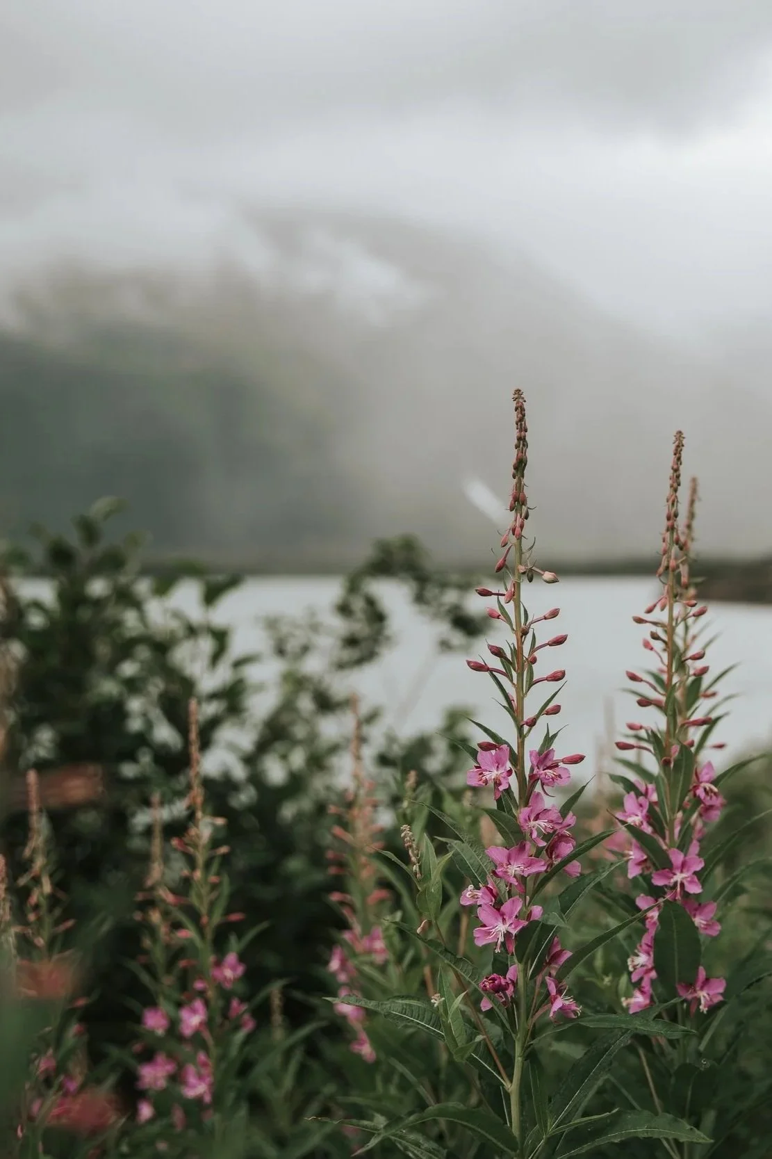 Sanctum of Nature
For the benefit of the environment