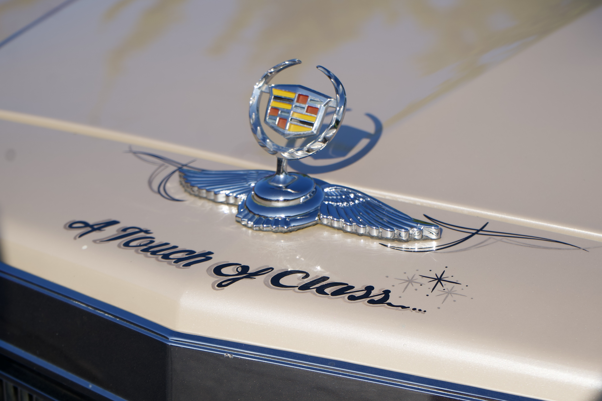 carshow4-26.png
