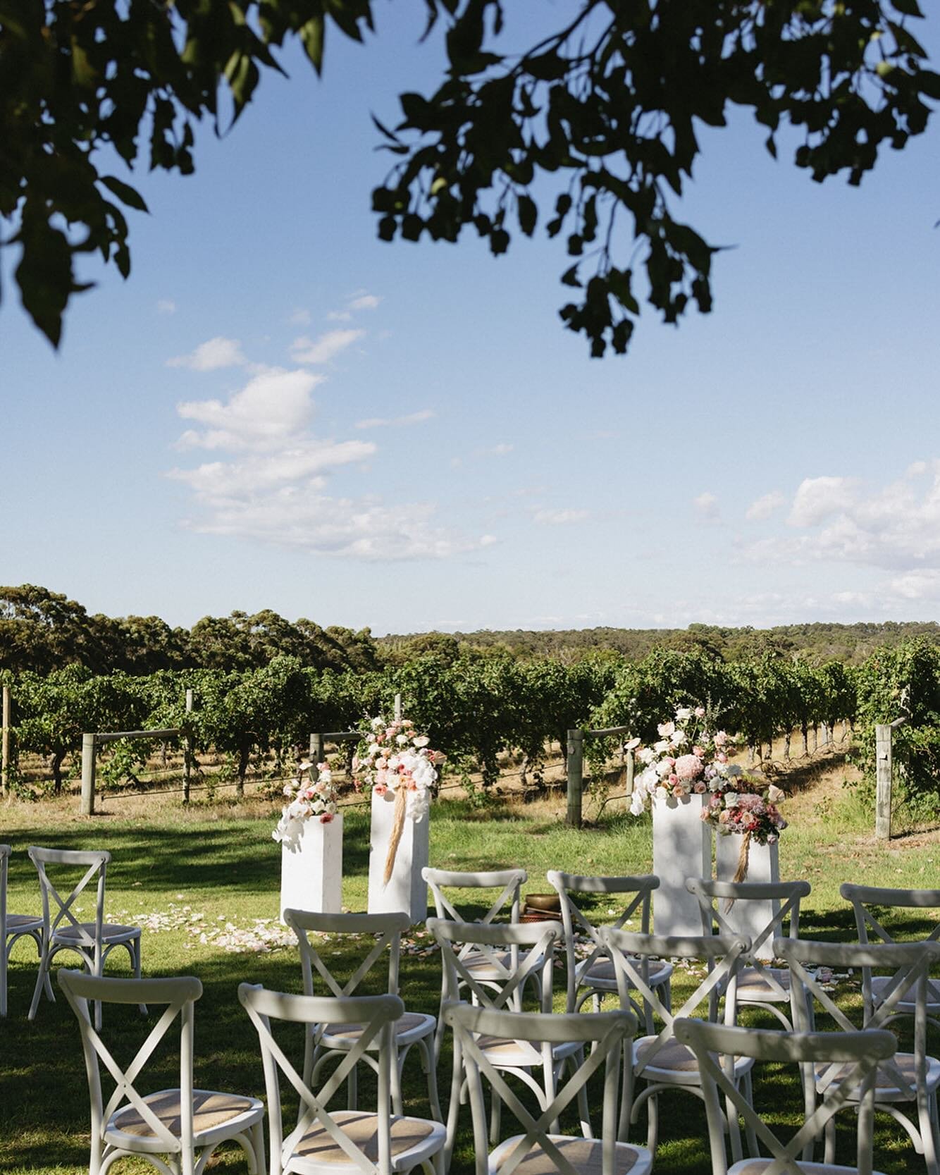 Weddings with vineyard vistas and clear blue skies - this is what&rsquo;s it&rsquo;s all about celebrating in the beautiful South West👌 LUCY + BEN chose white furnishings and textured plinths, bloomed to perfection @scentiment_flowers 💐 
📷 @mitcha